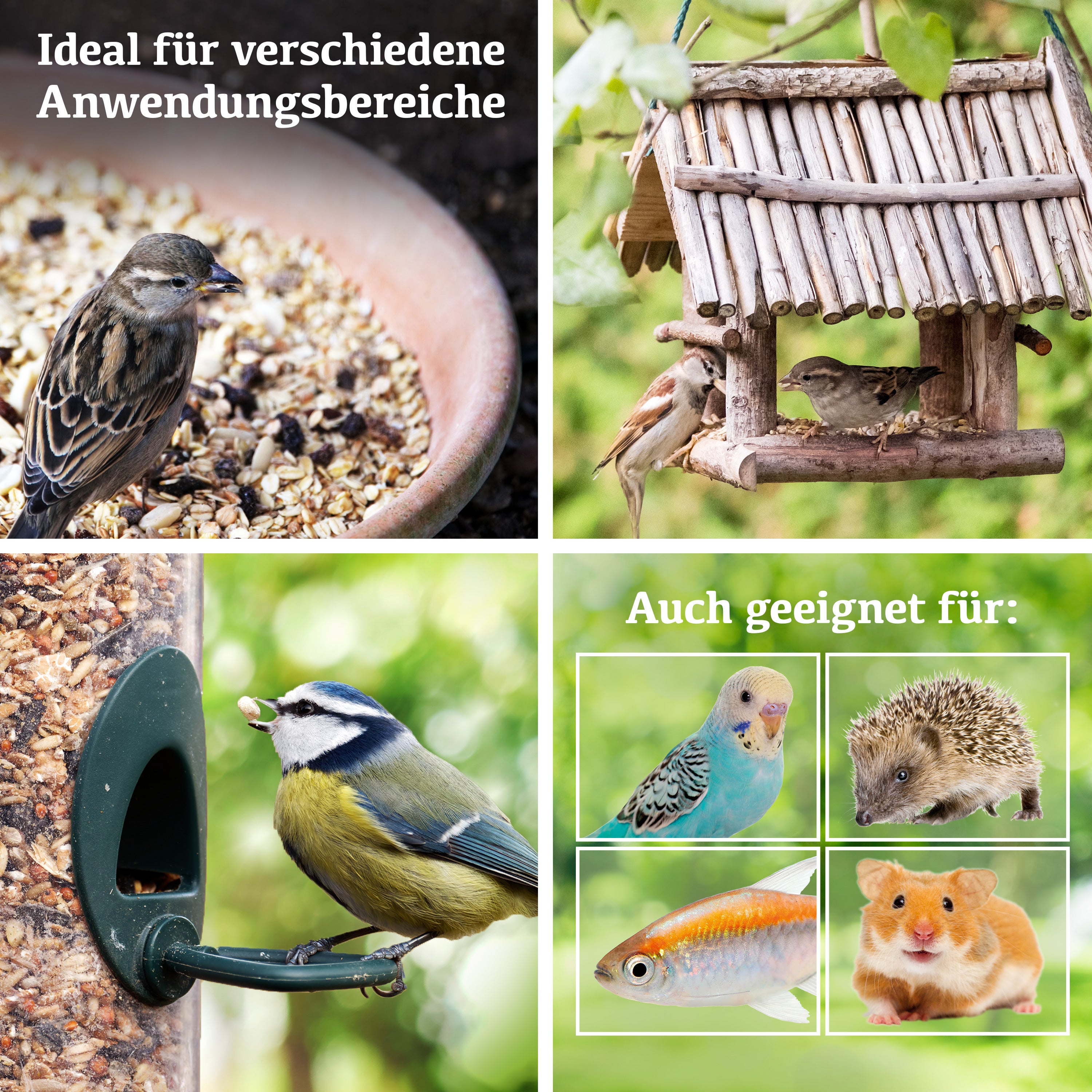 Delicia Mehlwürmer Futter Mix, Vogelfutter, Igelfutter, Reptilienfutter, Fischfutter, Hamsterfutter, 100% natürlich getrocknete Mehlwürmer