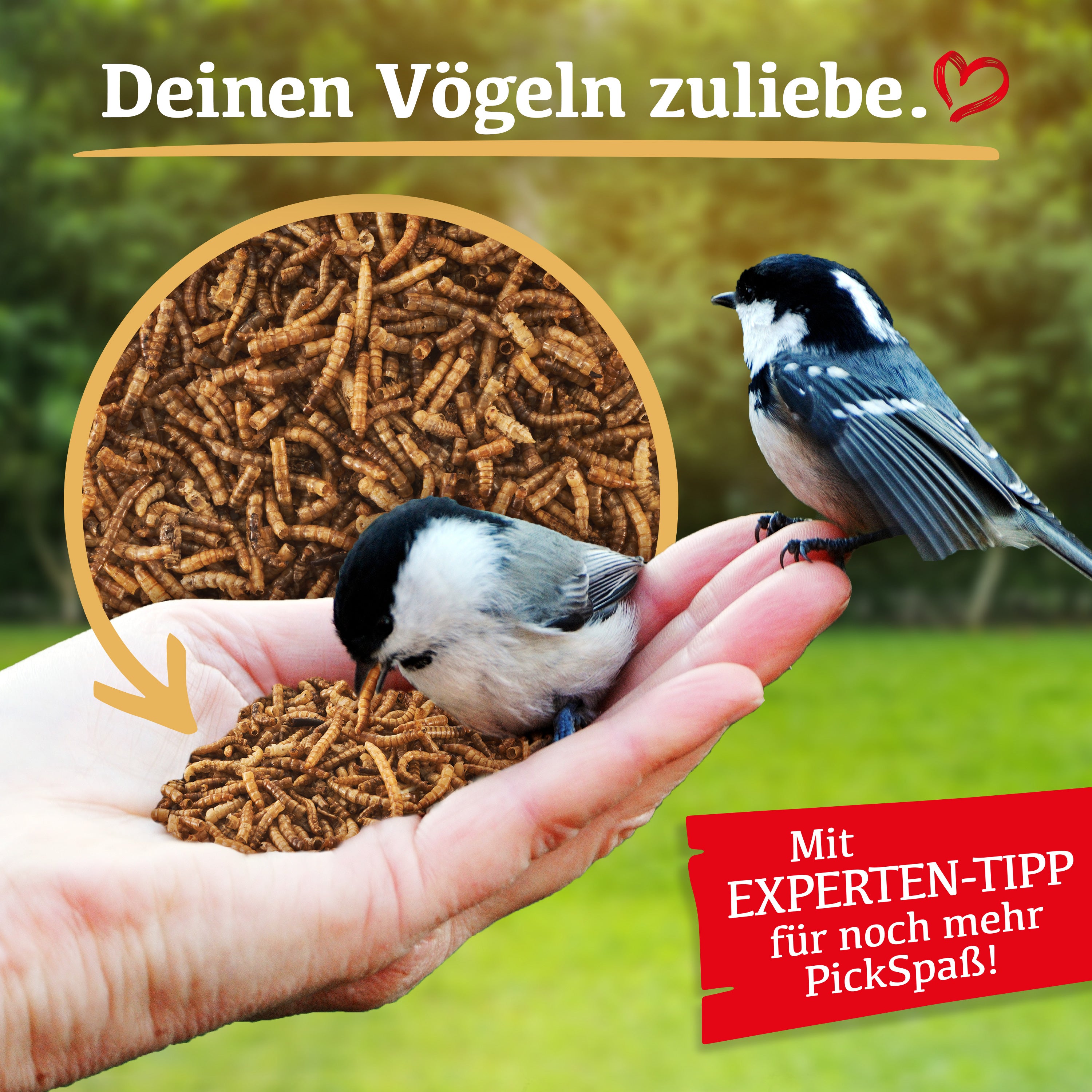 Delicia Mehlwürmer Futter Mix, Vogelfutter, Igelfutter, Reptilienfutter, Fischfutter, Hamsterfutter, 100% natürlich getrocknete Mehlwürmer