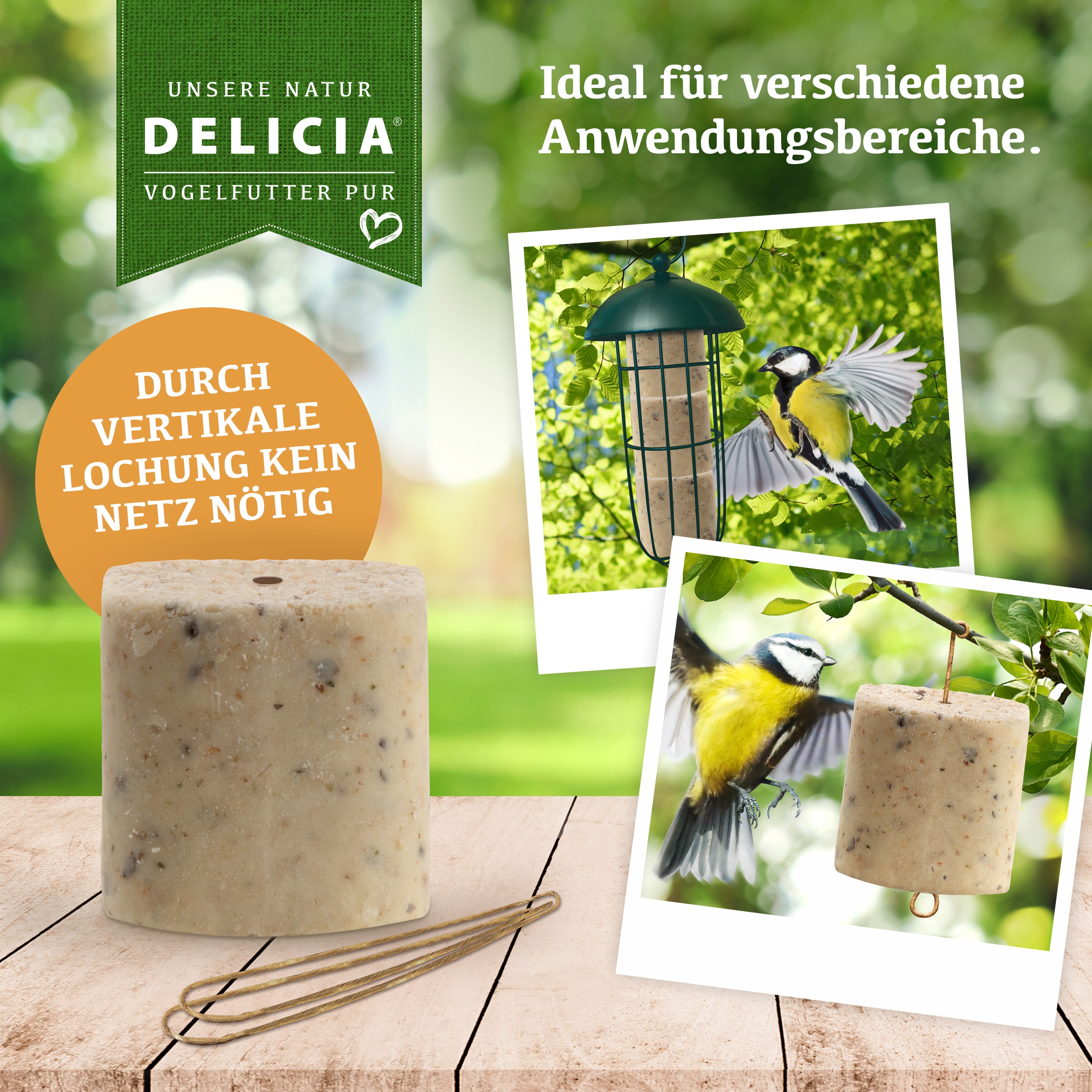 Delicia Meisenballen mit Insekten und Aufhänger, Meisenknödel ohne Netz, Insektenknödel, Vogelfutter, Meisenfutter