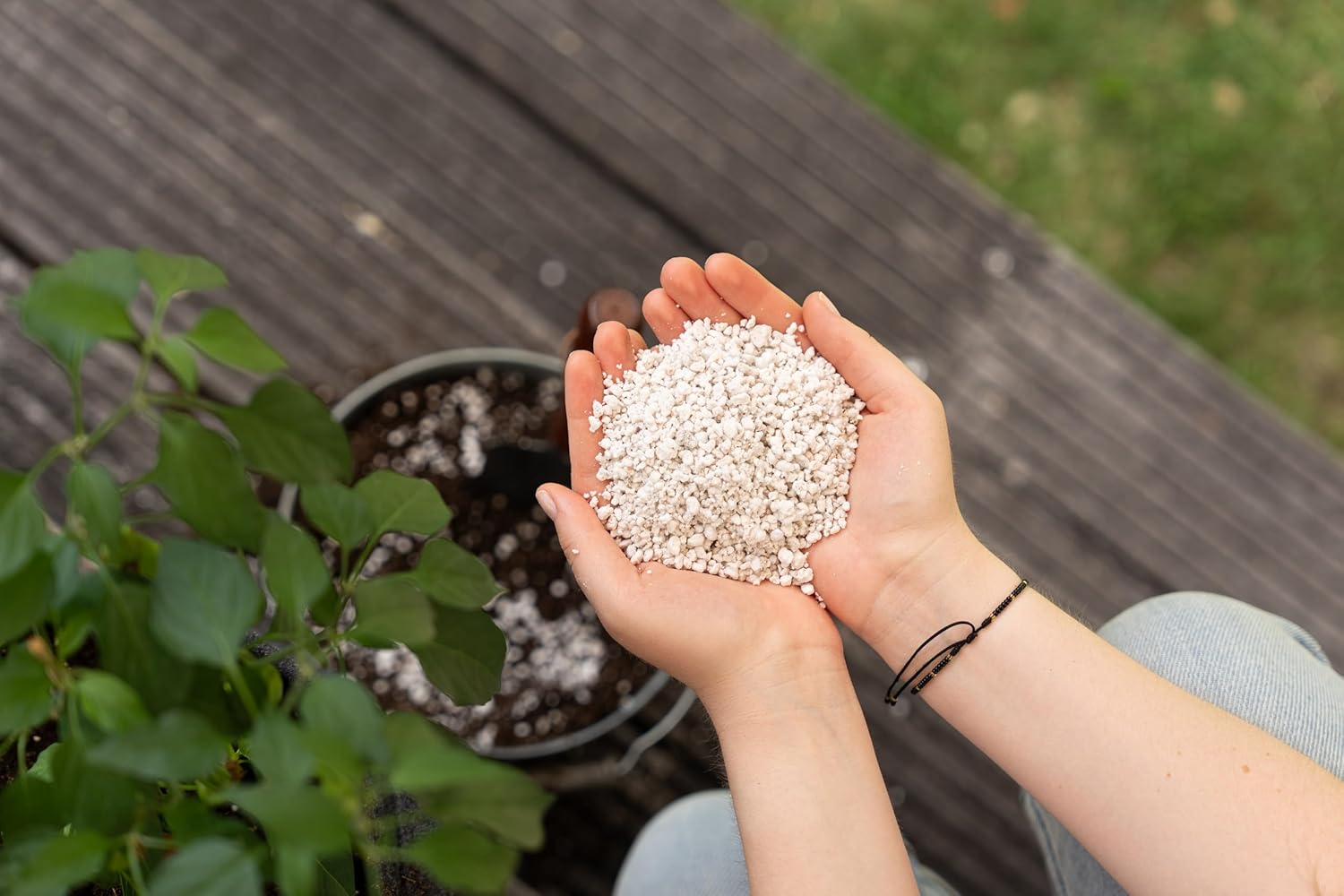 Floragard Perlite 5 Liter - Optimale Bodenbelüftung für gesundes Pflanzenwachstum