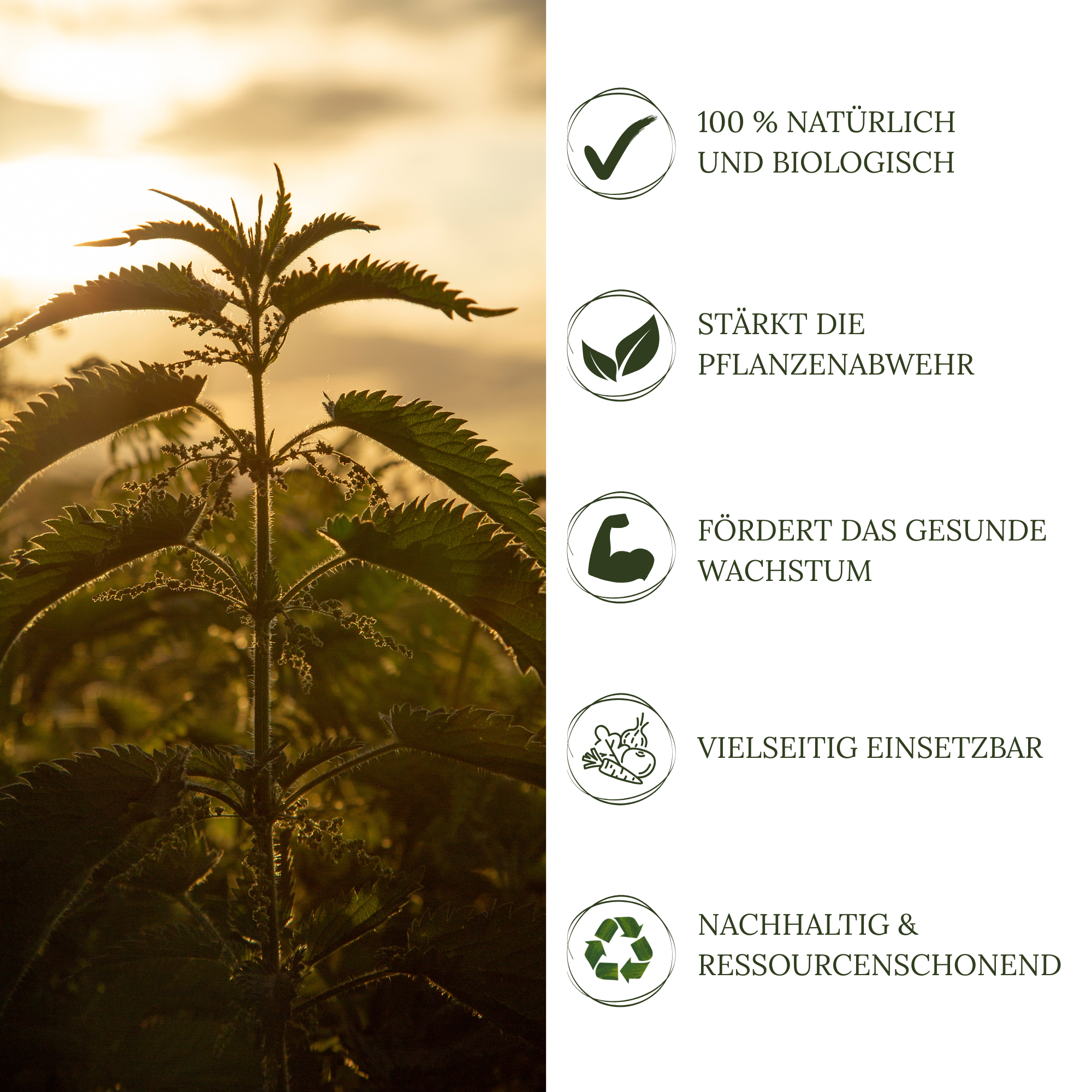 HaGaFe BIO Brennnessel Sud 5 Liter Brennnesseljauche Brennnesseldünger