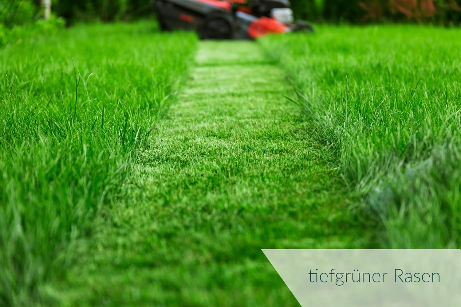 HaGaFe TURBO Rasendünger mit 15% Stickstoff, Universal Rasen - Dünger für Frühjahr, Sommer, Herbst, für schnelles sattes Grün