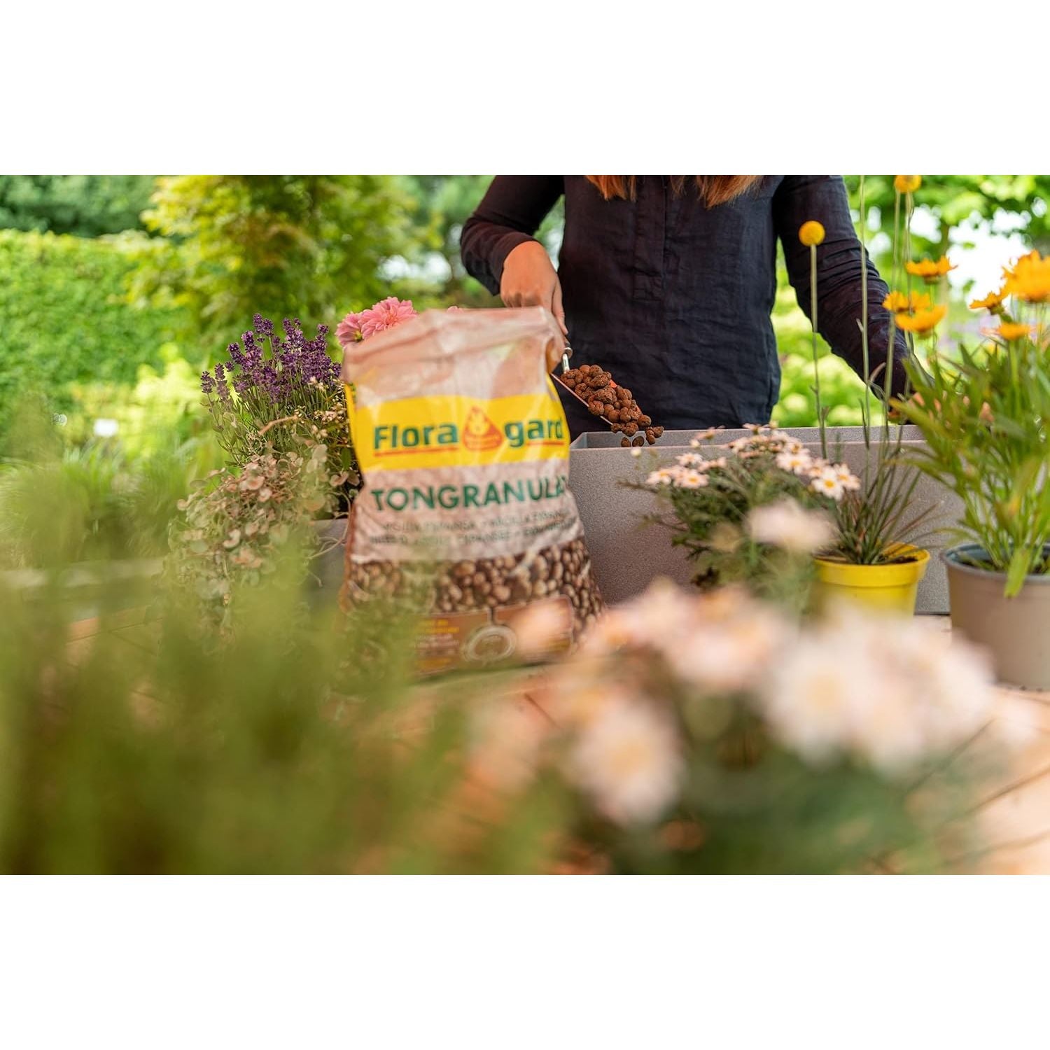 Floragard Tongranulat 50L, Blähton, Hydrokultursubstrat für Pflanzkästen, Kübel oder Topfe