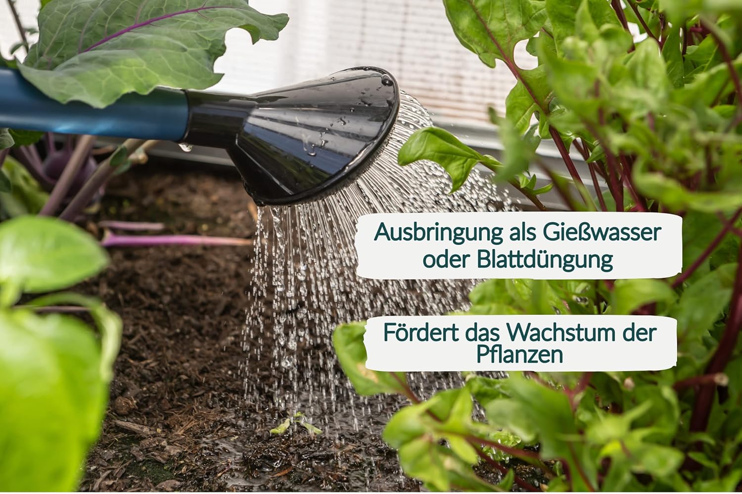 HaGaFe Bio Komplexdünger, Flüssigdünger, Universaldünger und Pflanzenstärkung, Blattdünger mit Bacillus Subtilis und Bacillus Megaterium