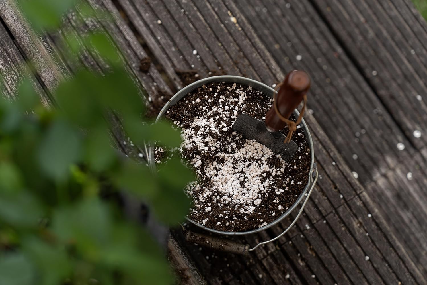 Floragard Perlite 5 Liter - Optimale Bodenbelüftung für gesundes Pflanzenwachstum