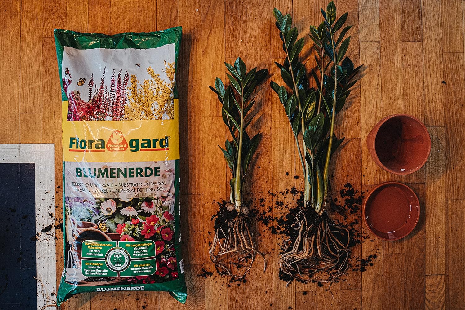 Floragard Blumenerde 70L, Universalerde mit Ton und Langzeitdünger, Topferde, Gartenerde, Erde