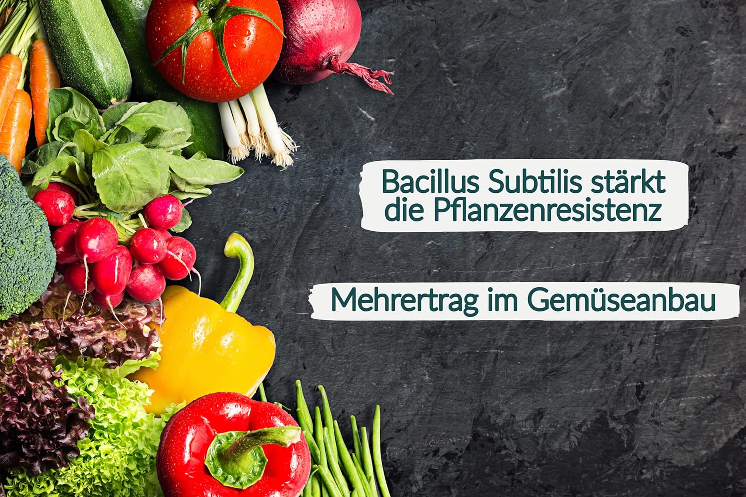 HaGaFe Bio Komplexdünger, Flüssigdünger, Universaldünger und Pflanzenstärkung, Blattdünger mit Bacillus Subtilis und Bacillus Megaterium