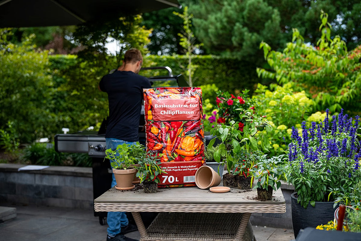 Floragard Universal Basissubstrat für Chillipflanzen 1x70 Liter - zur Anzucht und zum Umtopfen für Chilli, Paprika und Peperoni