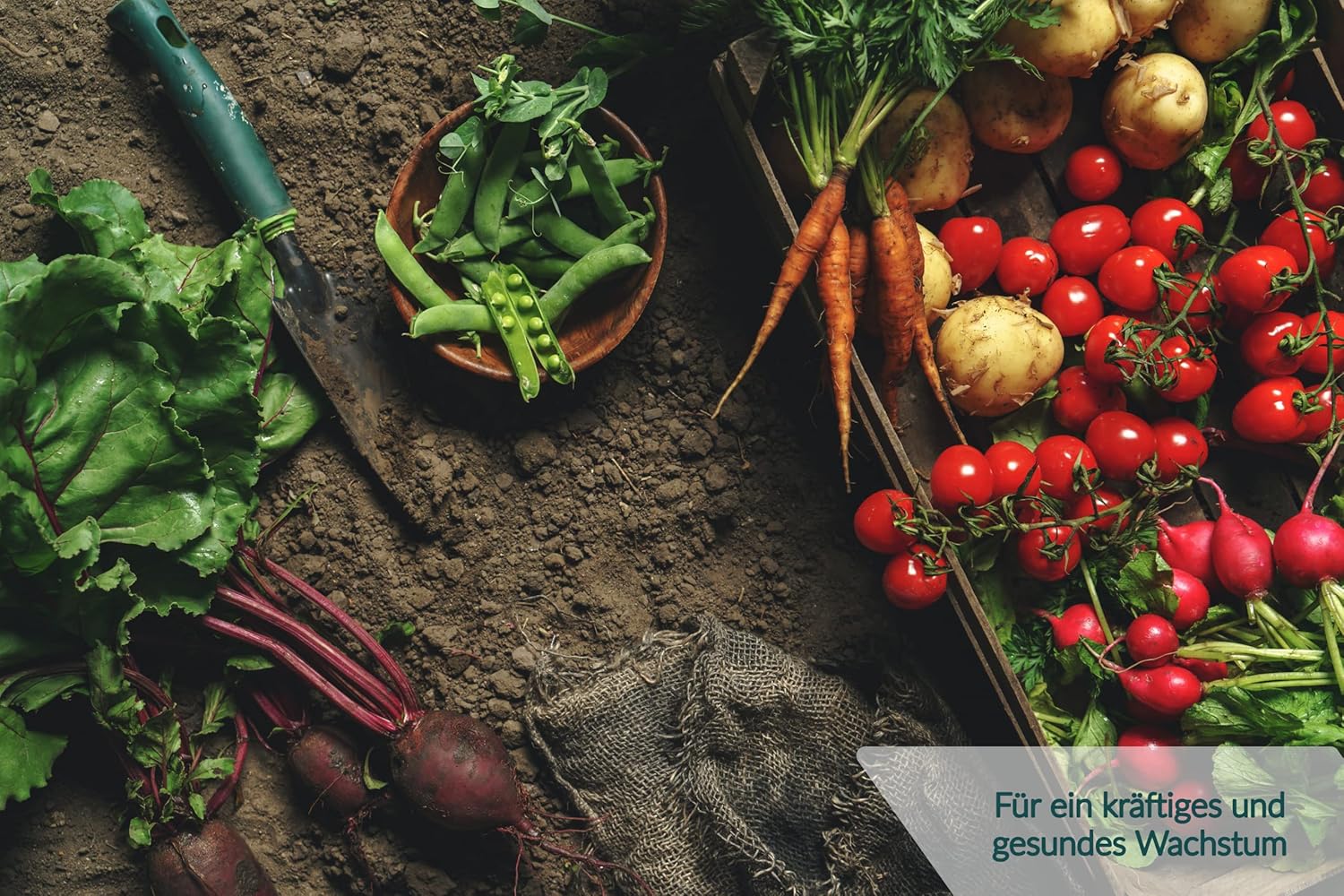 HaGaFe Beerendünger, Tomatendünger, Gurkendünger, Gemüsedünger, Hochbeetdünger