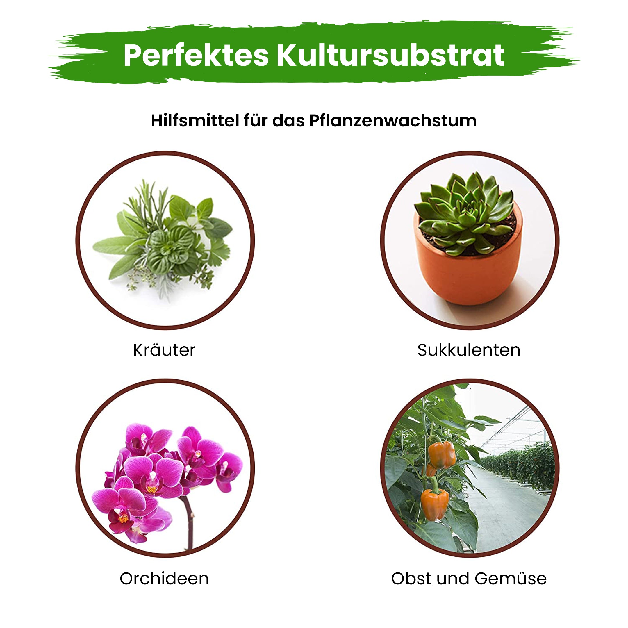 Kokos Flora Coco Coir Kokosnusserde, Kokossubstrat, Blumenerde, Pflanzerde, Topferde, 100% Kokosfasern