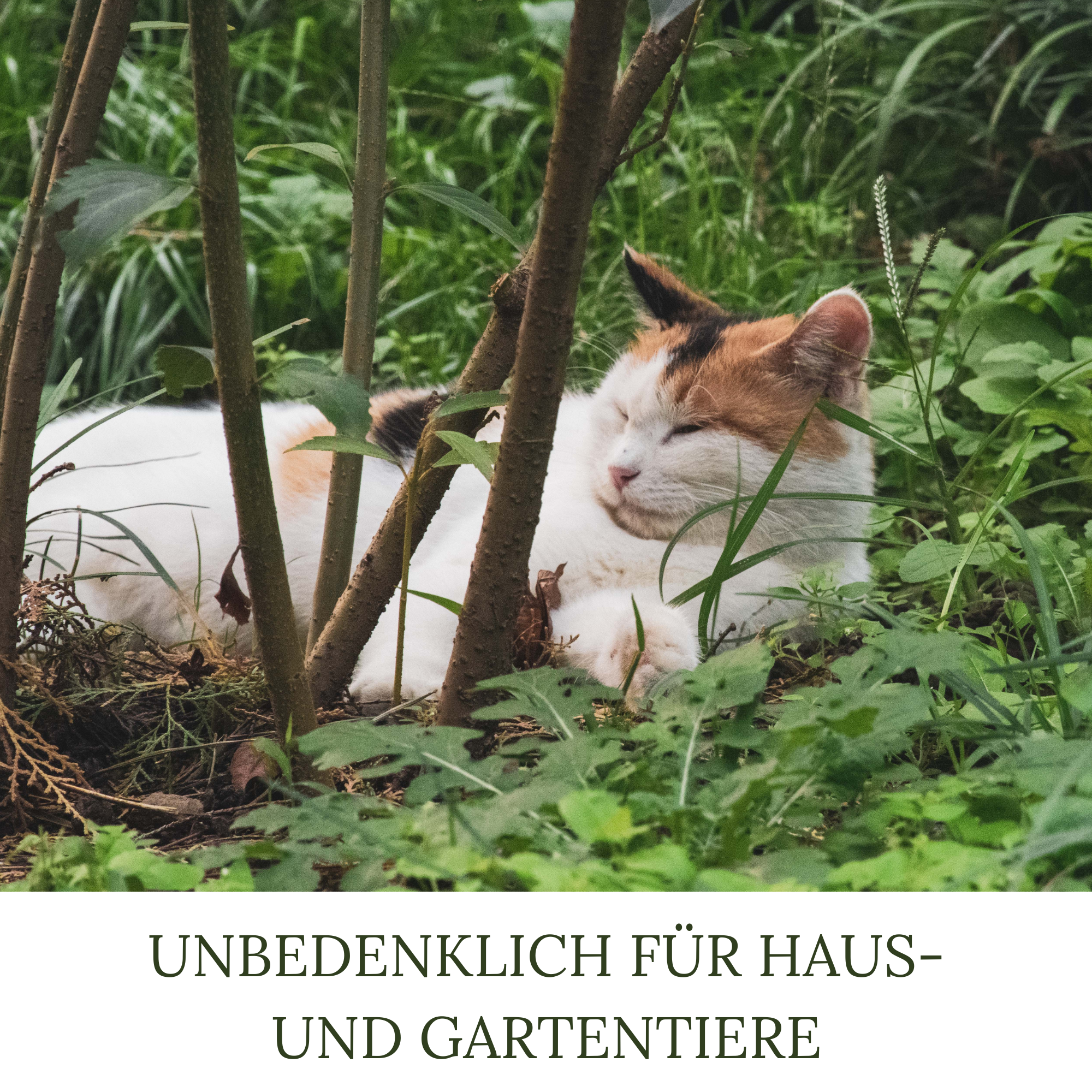 HaGaFe Terra Line BIO Bananenerde Pflanzerde 50 Liter