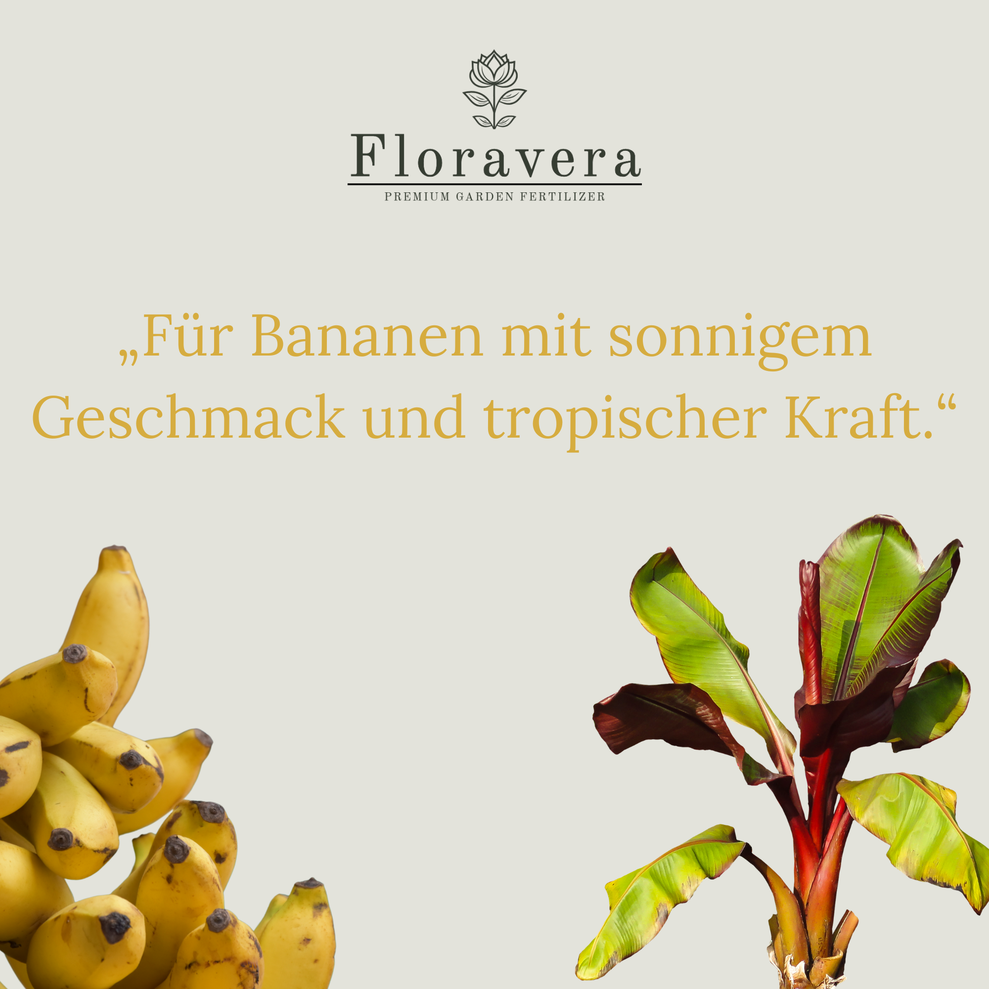 Floravera Premium BIO Bananenerde Pflanzerde 50 Liter