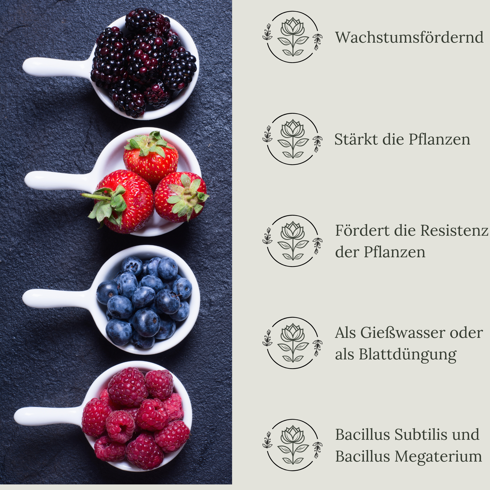 Floravera Premium Beeren Bio-Flüssigdünger 1 Liter Beerendünger Dünger