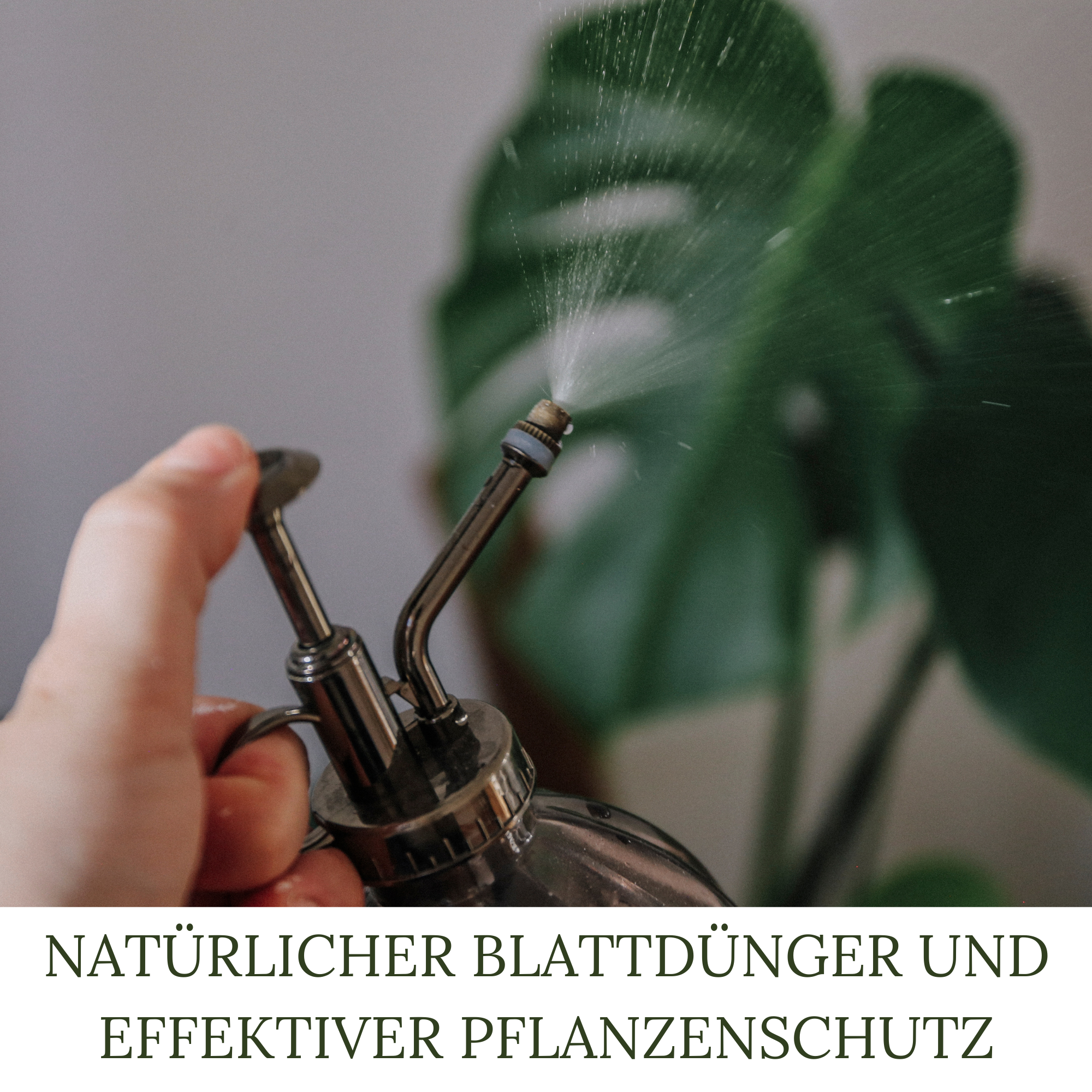 HaGaFe BIO Brennnessel Sud 5 Liter Brennnesseljauche Brennnesseldünger