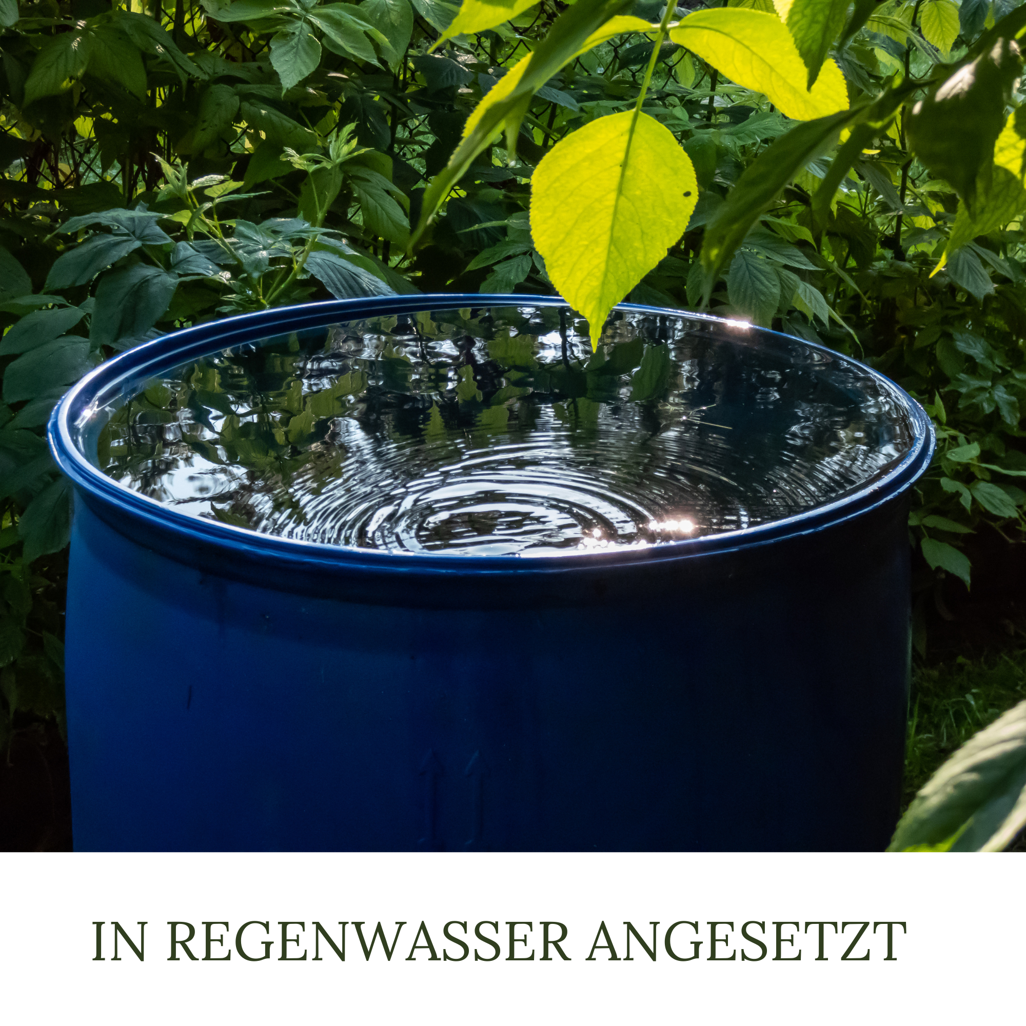HaGaFe BIO Brennnessel Sud 5 Liter Brennnesseljauche Brennnesseldünger