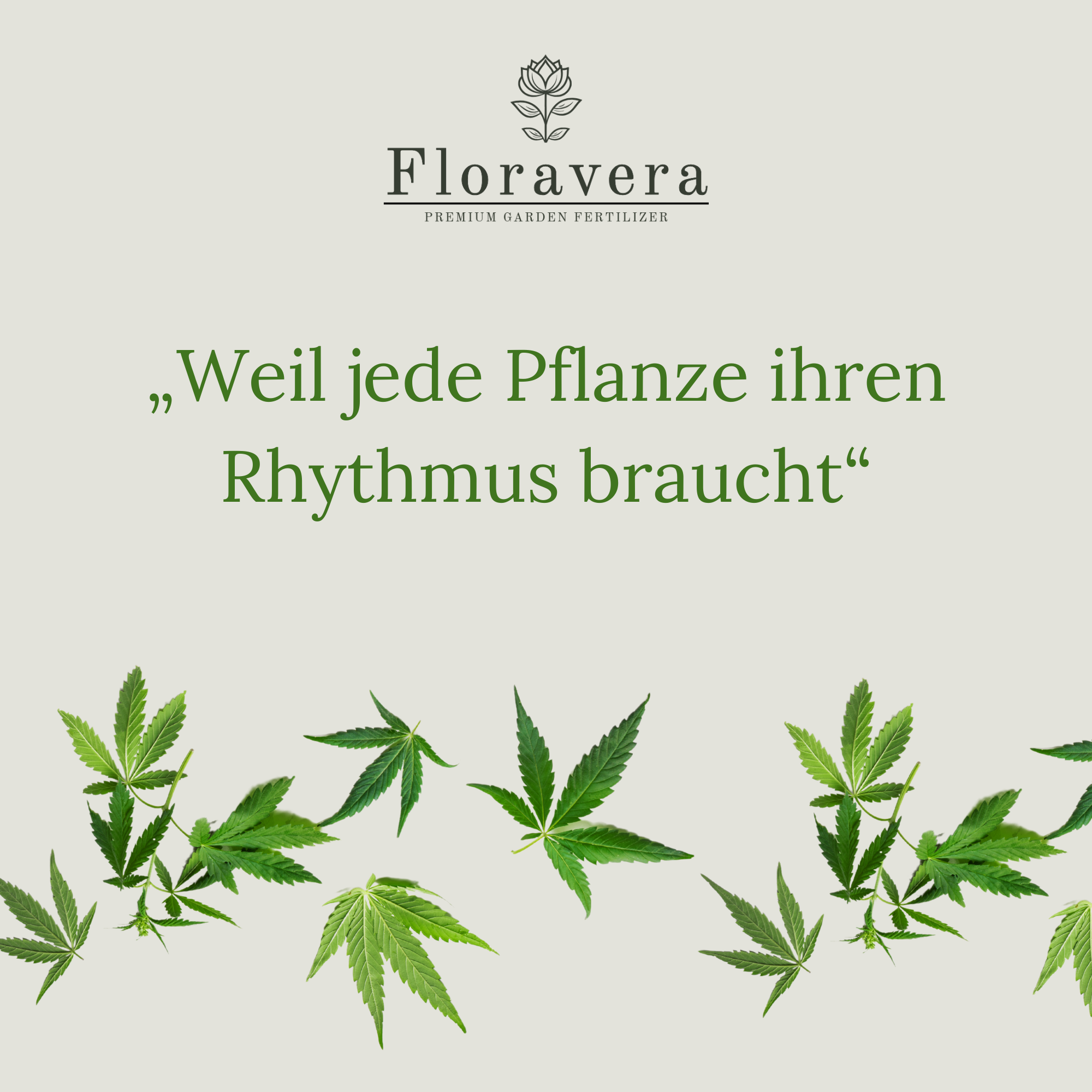 Floravera Premium BIO Cannabiserde Blumenerde Pflanzerde 50 Liter
