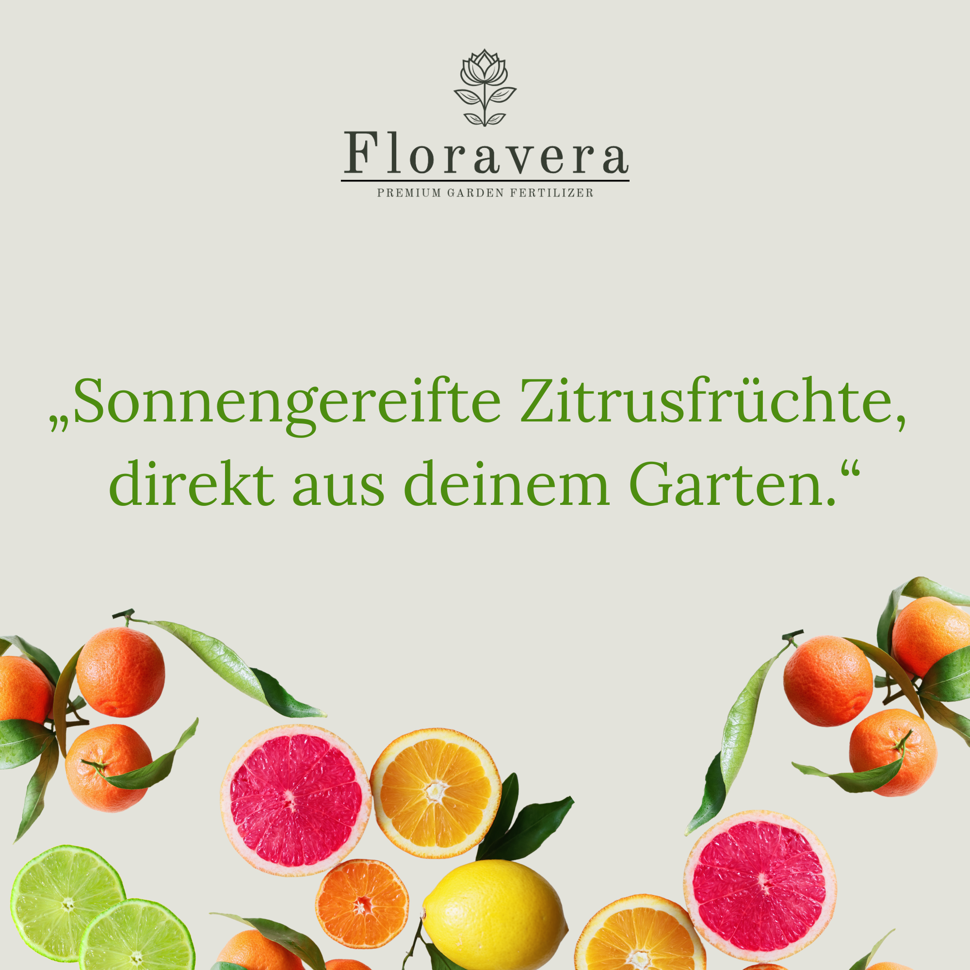 Floravera Premium CItrus Bio-Flüssigdünger 1 Liter Zitrusdünger Dünger Zitrusfrucht