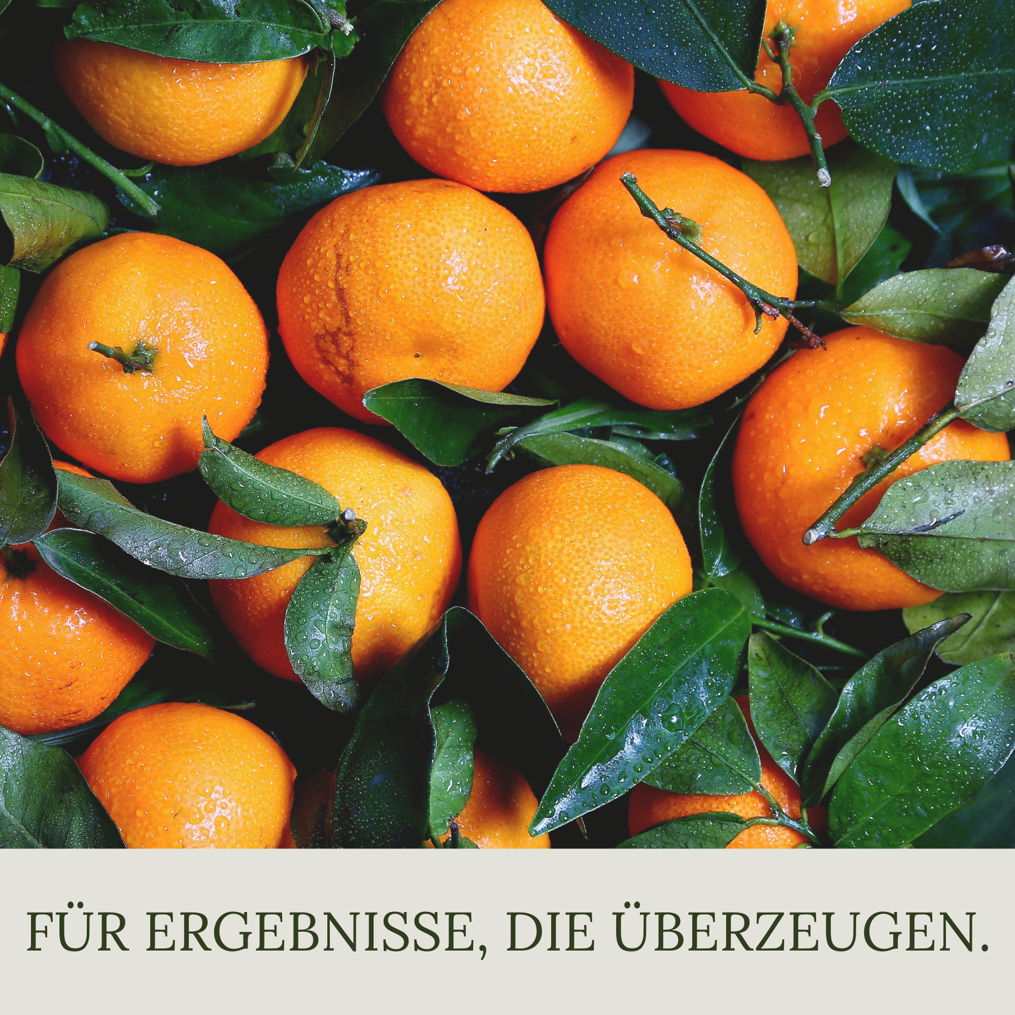 Floravera Premium CItrus Bio-Flüssigdünger 1 Liter Zitrusdünger Dünger Zitrusfrucht