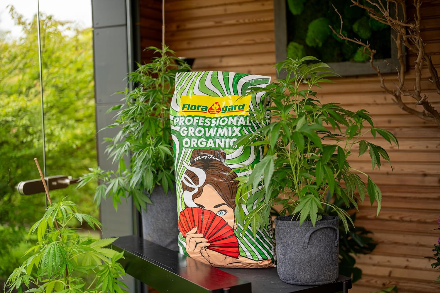 Floragard Professional Grow Mix Organic, 70L Cannabis Erde, Topferde, Hanferde mit Perlite und Trichoderma
