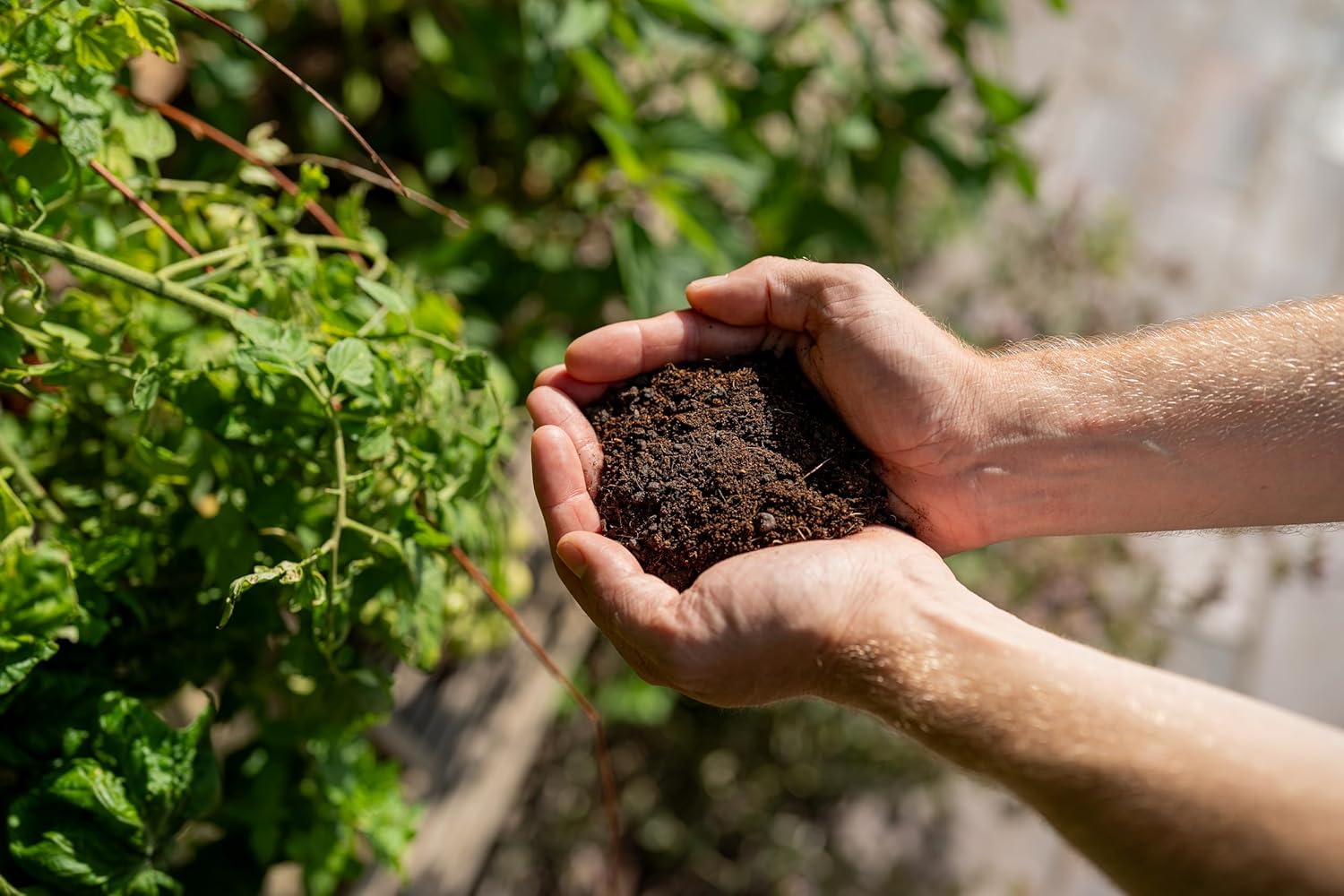 Floragard Herbi Living Soil, 40 L Bio Erde mit natürlichen Inhaltstoffen, Mikrobiell belebt