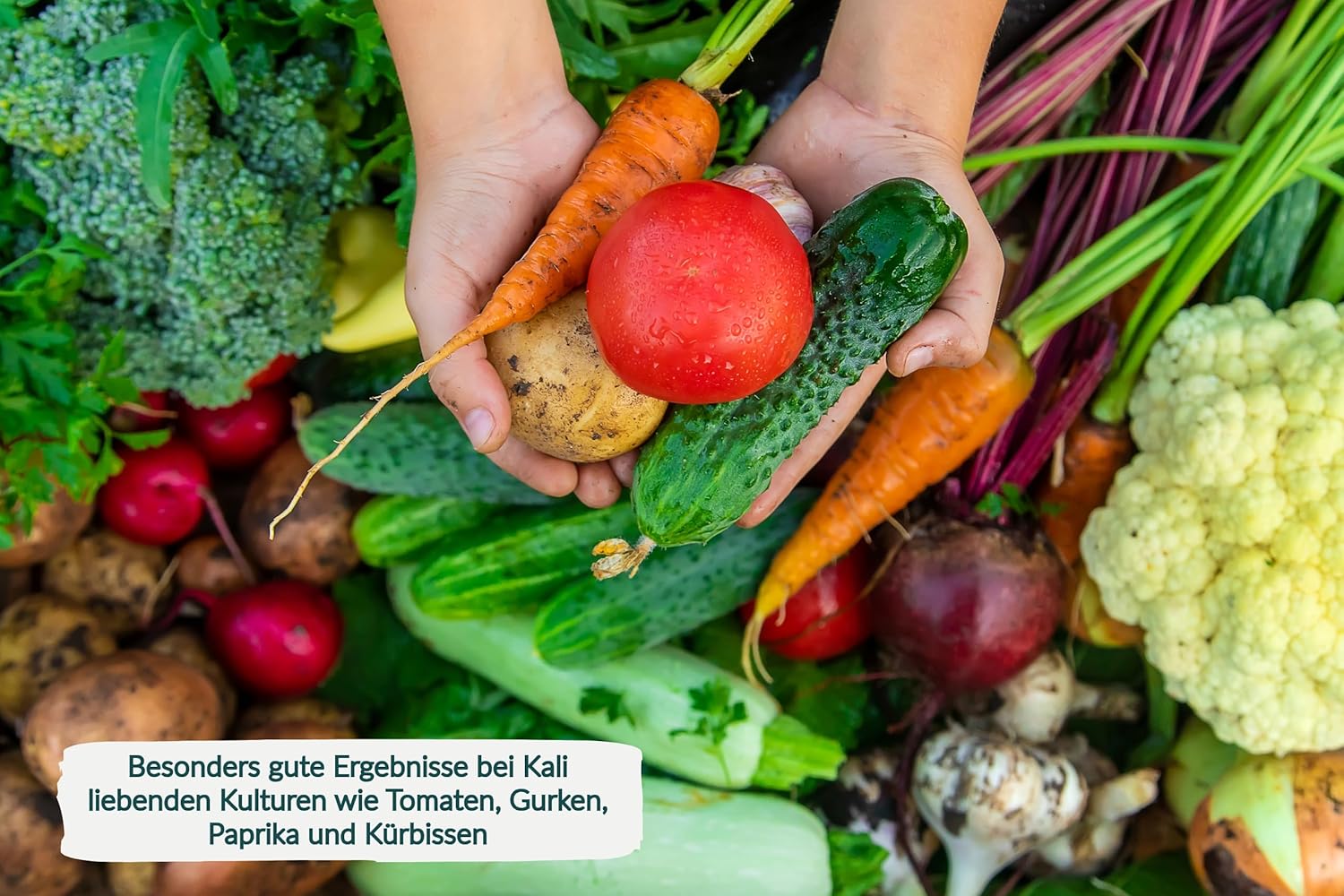 1 x 10L HaGaFe Bio Flüssigdünger Universal, Universaldünger, Blattdünger für alle Kulturen, Gemüsedünger, Blumendünger, Obstdünger