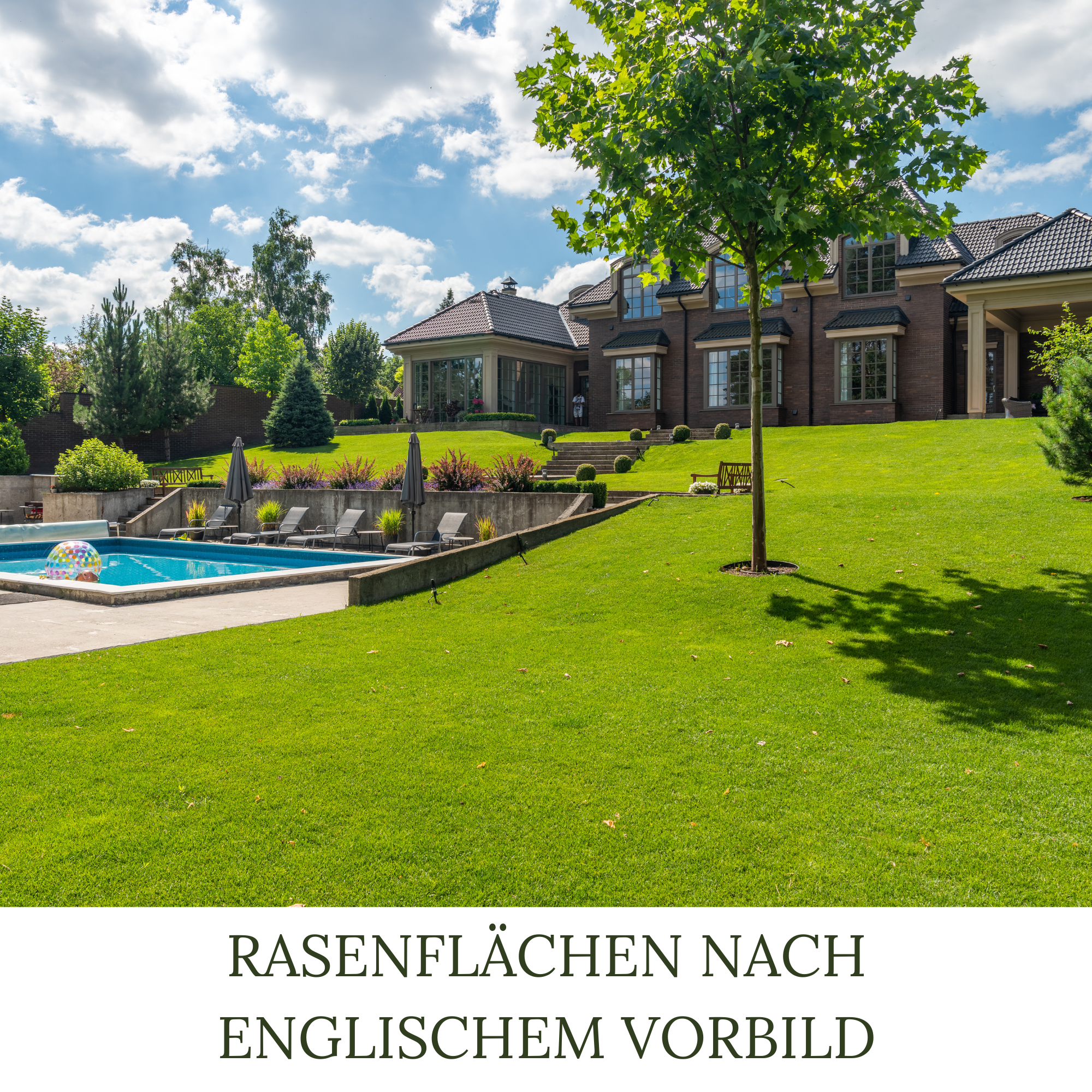 HEGA Classic Green Rasensamen Berliner Tiergarten Grassamen Rasen Gras Saatgut