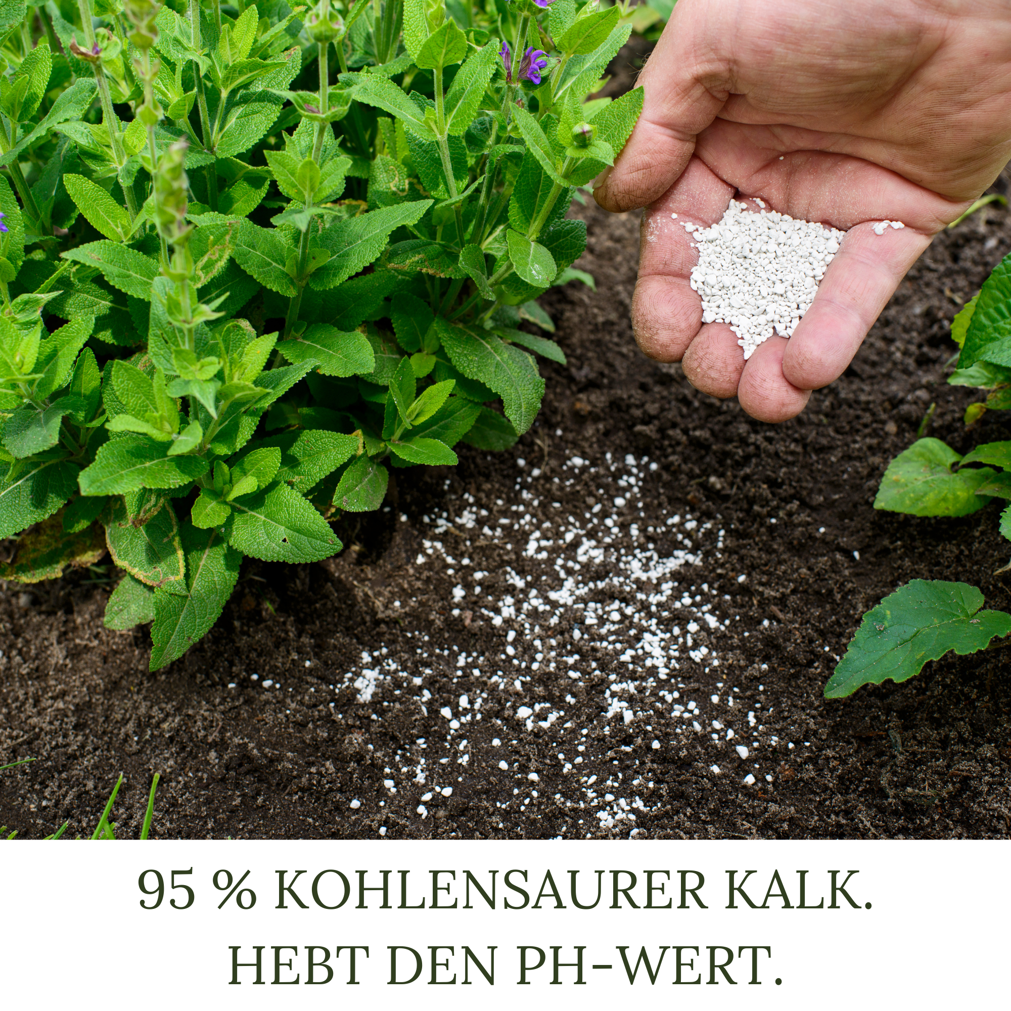 HaGaFe Bio Rasenkalk, Gartenkalk, Garten-Kalk, Düngekalk, hebt den pH-Wert, gegen Moos im Rasen