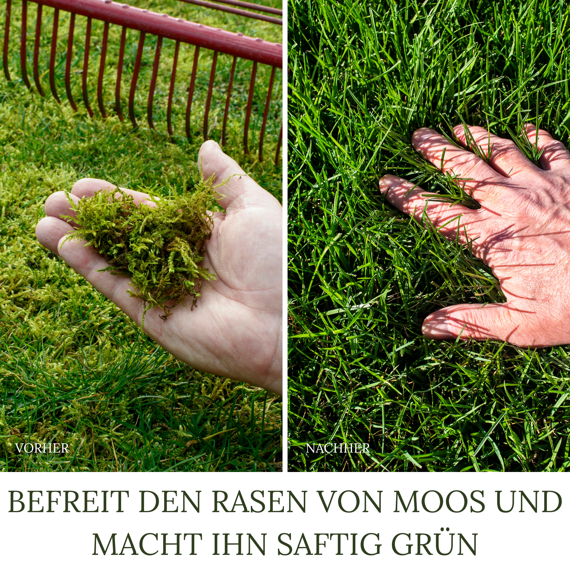 HaGaFe Bio Rasenkalk, Gartenkalk, Garten-Kalk, Düngekalk, hebt den pH-Wert, gegen Moos im Rasen
