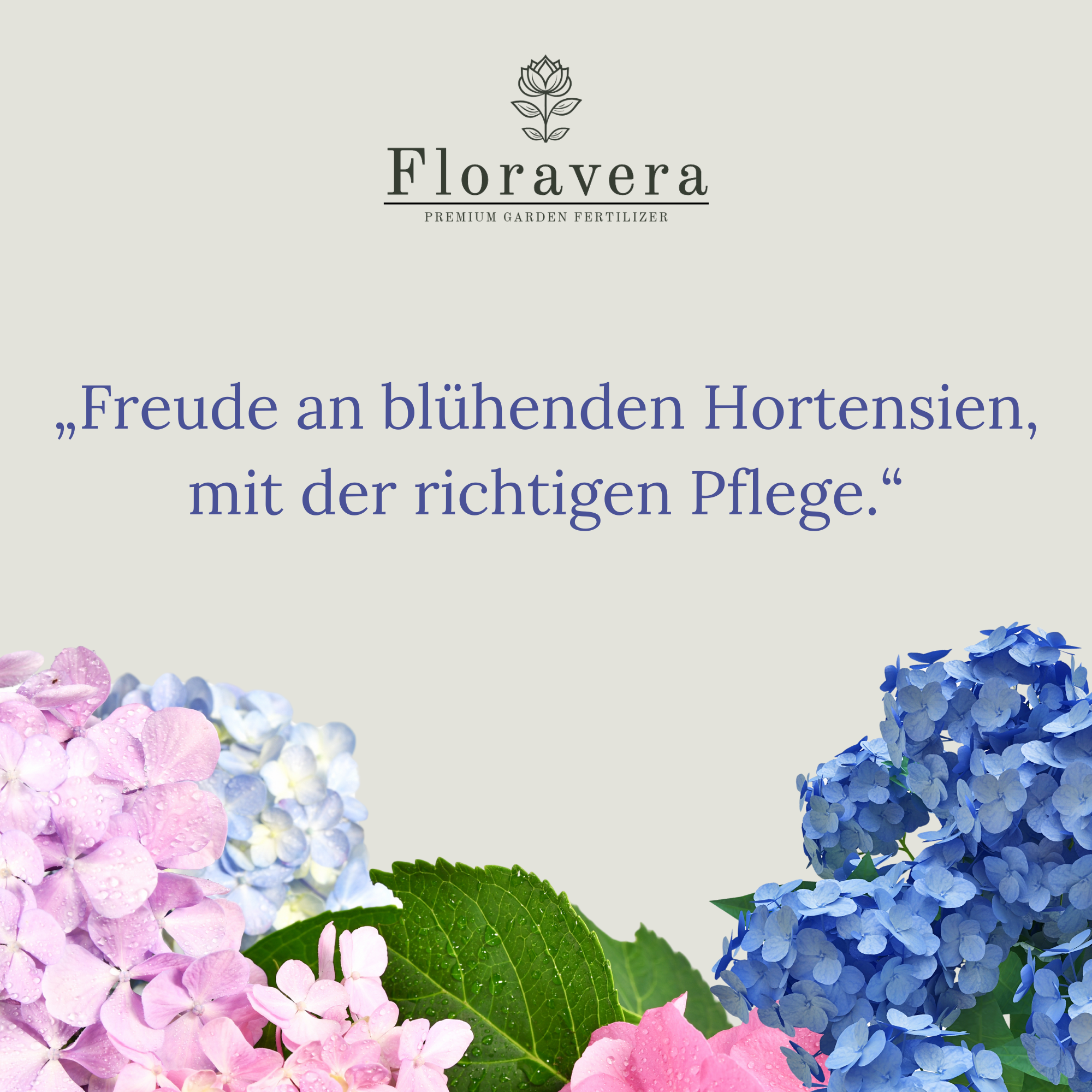 Floravera Premium Hortensien Bio-Flüssigdünger 1 Liter Hortensiendünger Dünger