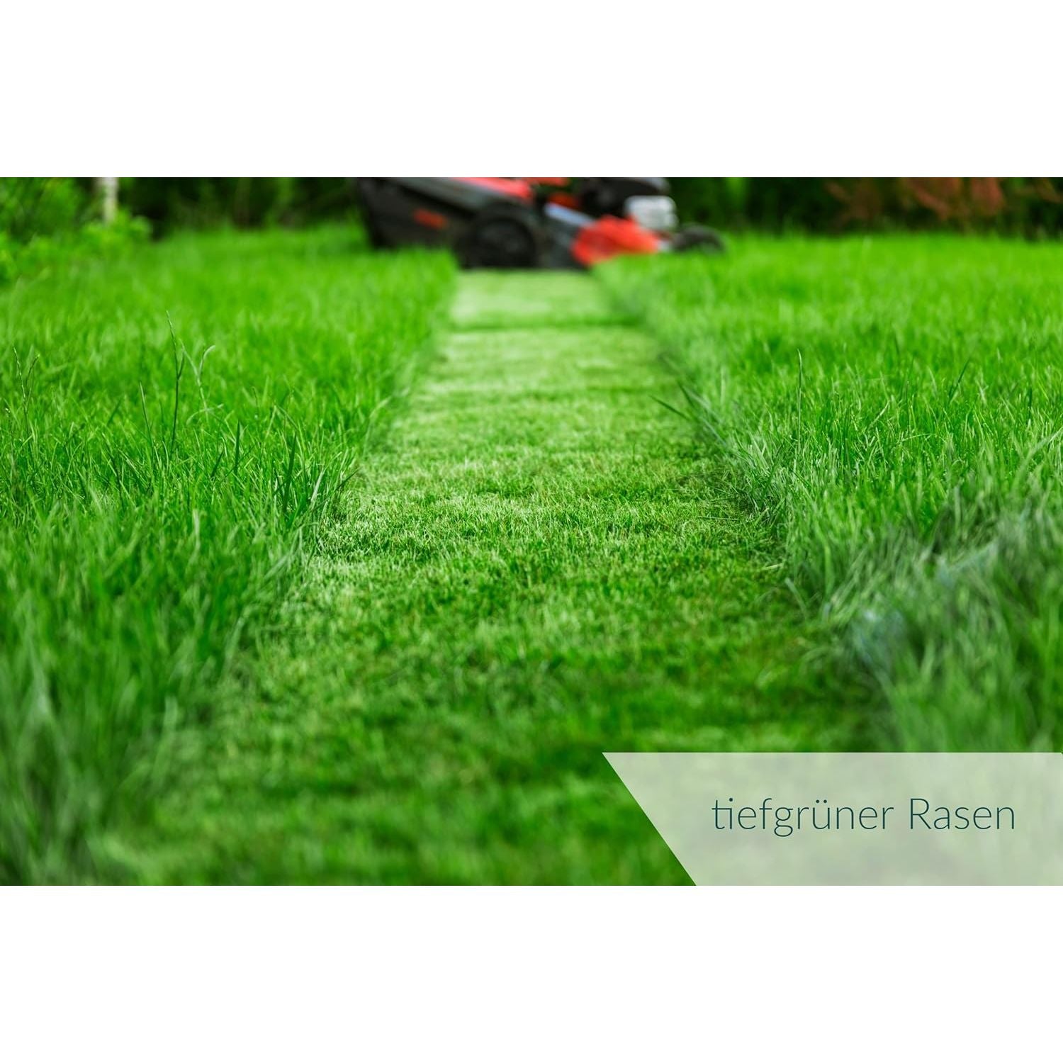 HaGaFe TURBO Rasendünger mit 30% Stickstoff, Rasen - Dünger mit Sofortwirkung und 120 Tage Langzeitwirkung, für ein dauerhaftes sattes Grün