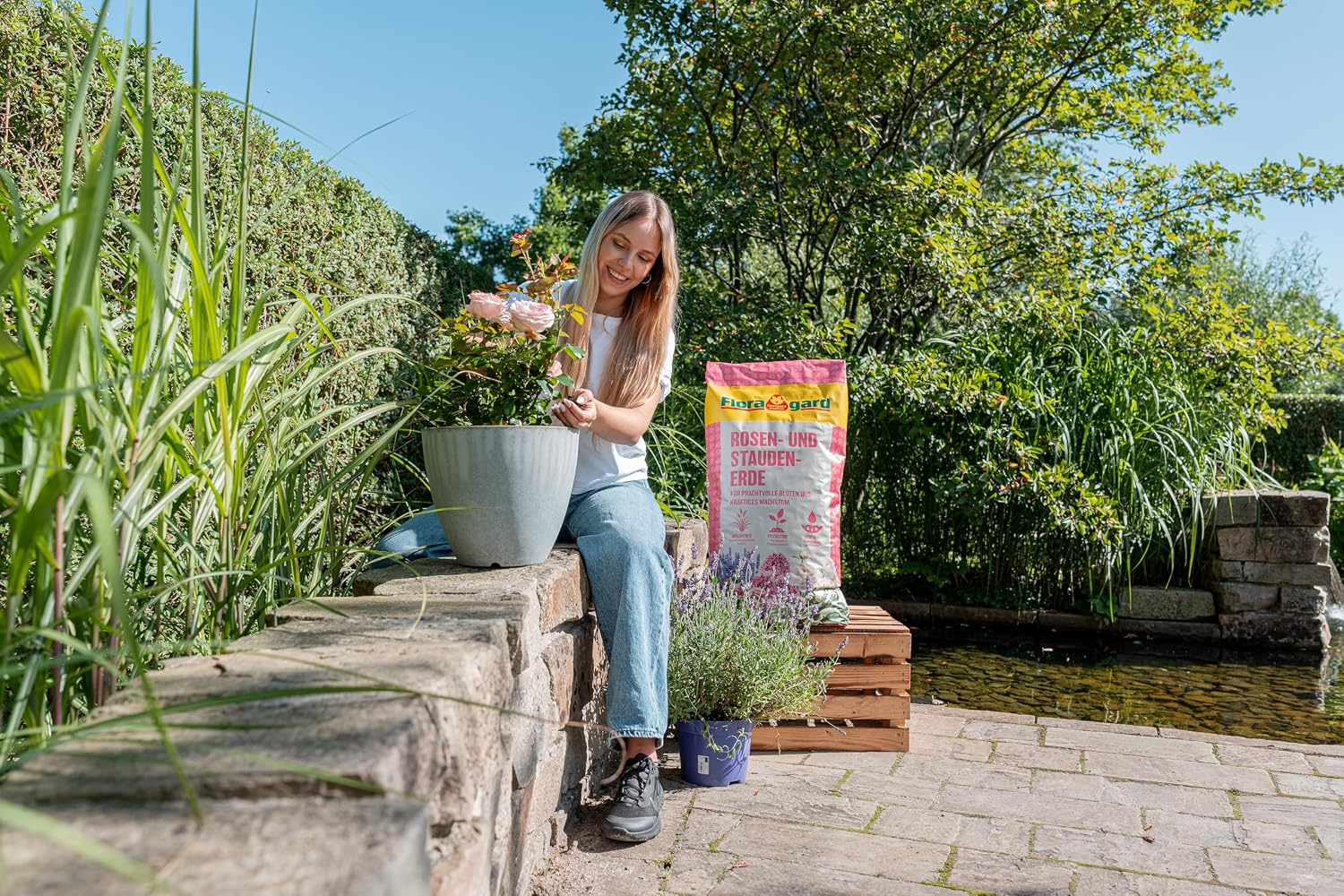 Floragard Rosenerde und Staudenerde, torfreduzierte Spezialerde mit Ton für Rosen und Stauden im Garten und Kübel