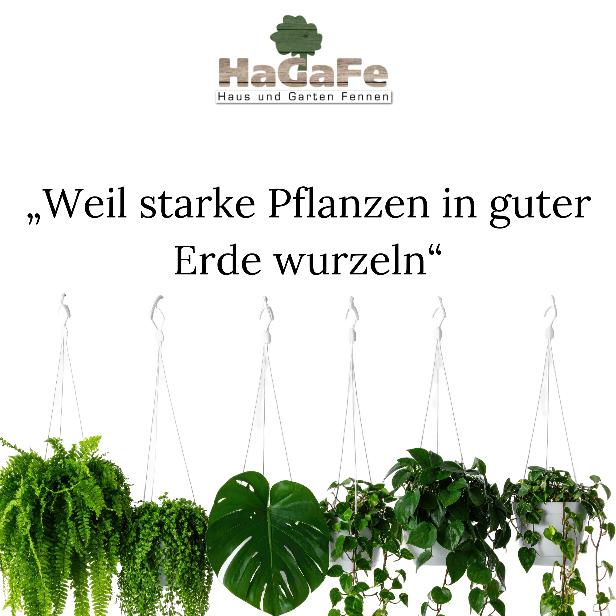 HaGaFe Terra Line BIO Pflanzerde 50 Liter