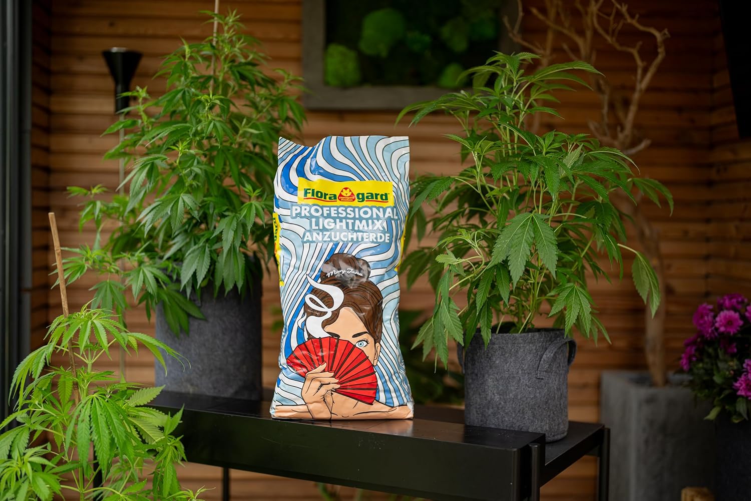 Floragard Professional Lightmix Anzuchterde für Cannabis und Hanf mit Trichoderma
