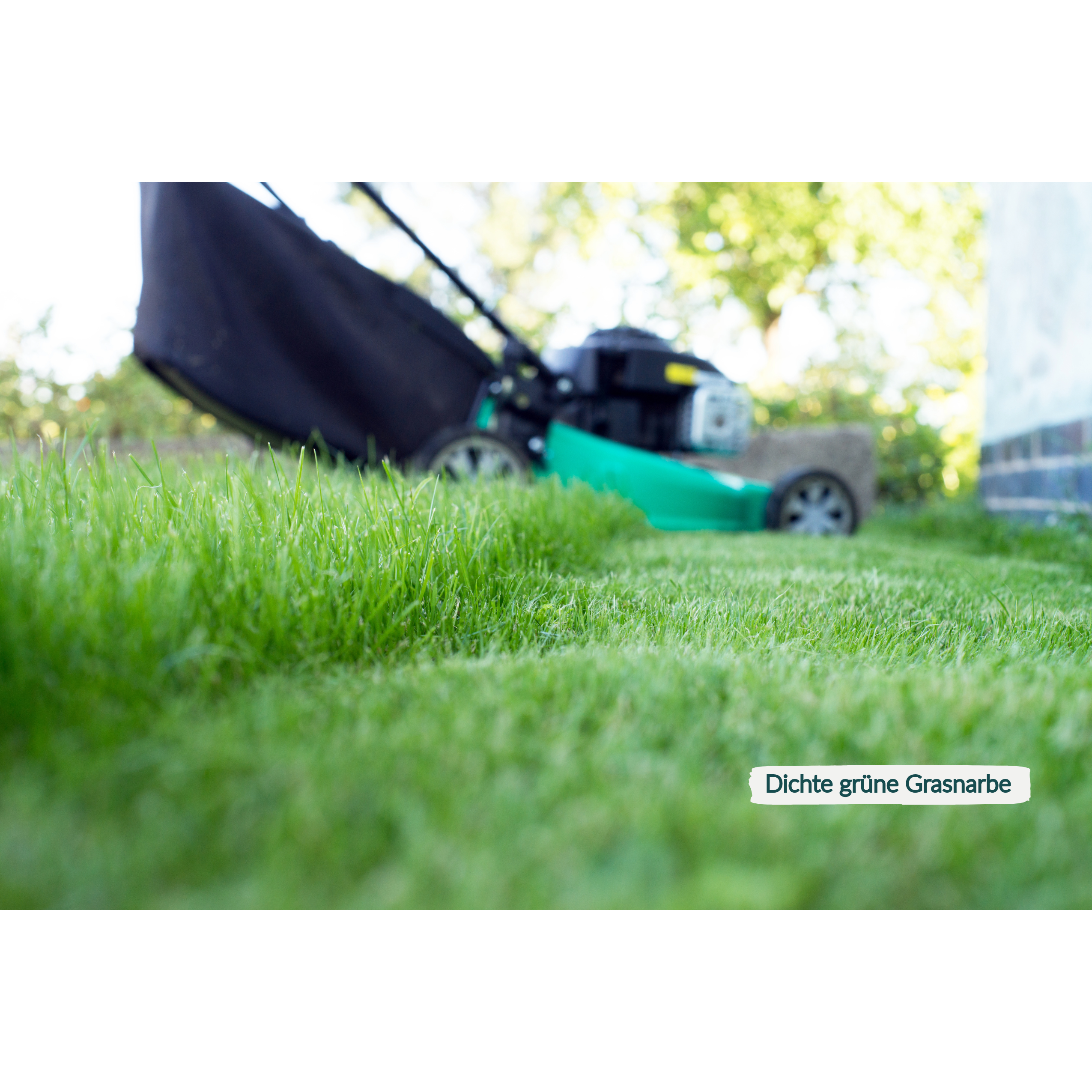 HaGaFe Bio Rasendünger, rein pflanzlich im Papierbeutel, Rasen - Dünger mit Langzeitwirkung, staubarme Krümelstruktur