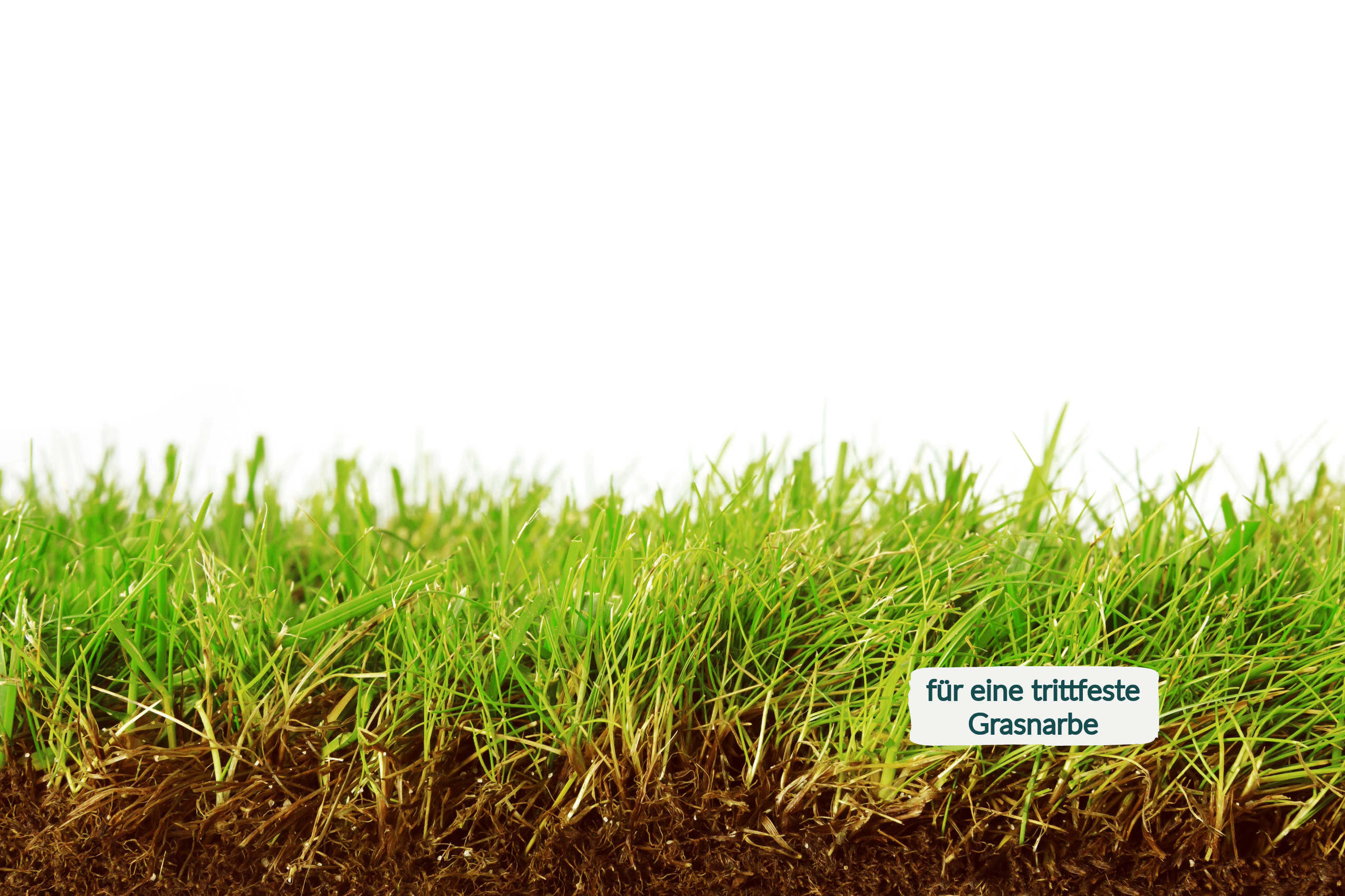 HaGaFe Rasendünger für Mulchmäher und Mähroboter, Rasen Dünger, Spezialdünger mit viel Kalium