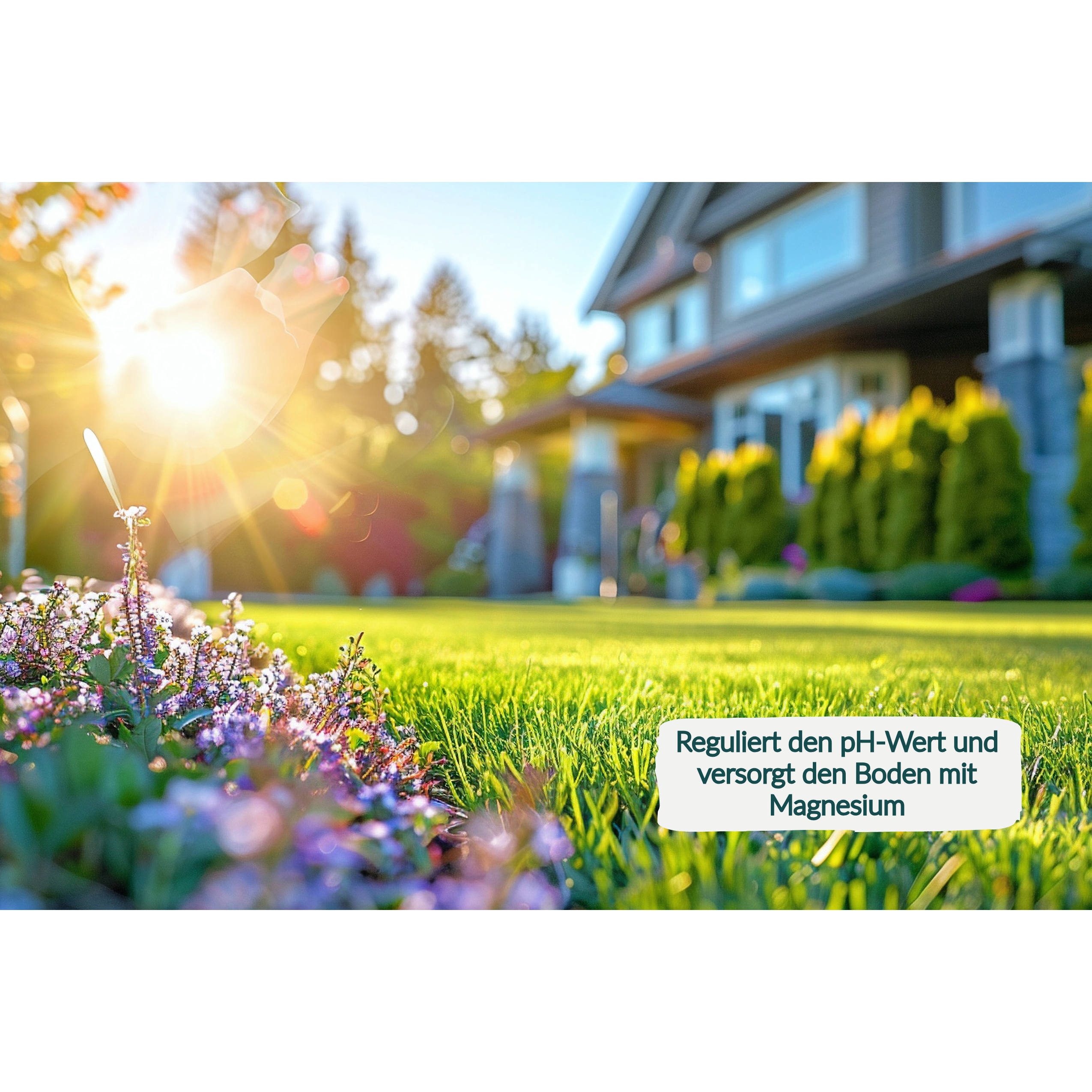 HaGaFe Sommer - Rasendünger, Sommerrasendünger, Spezialdünger, organisch mineralisch