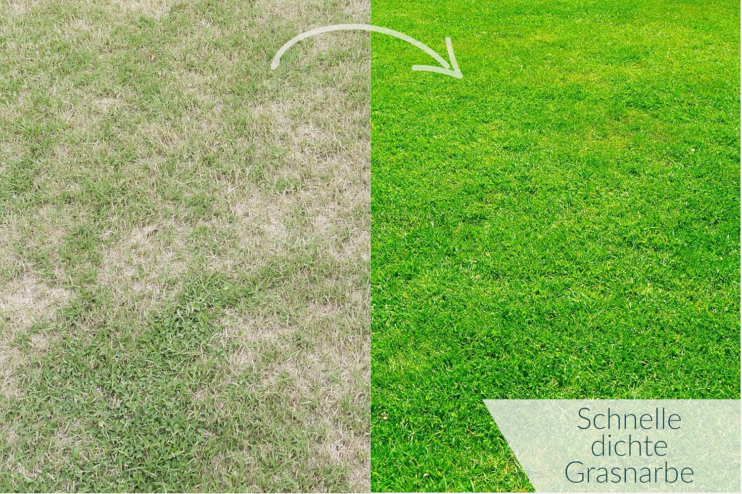 HaGaFe TURBO Rasendünger mit 15% Stickstoff, Universal Rasen - Dünger für Frühjahr, Sommer, Herbst, für schnelles sattes Grün