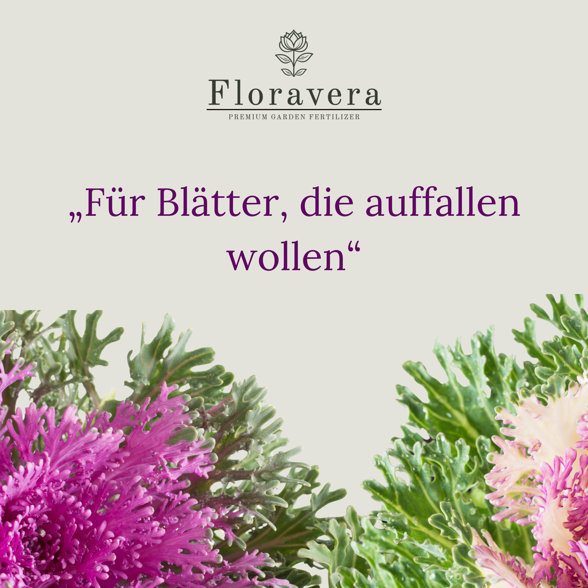 Floravera Premium BIO Zierkohlerde Pflanzerde 50 Liter