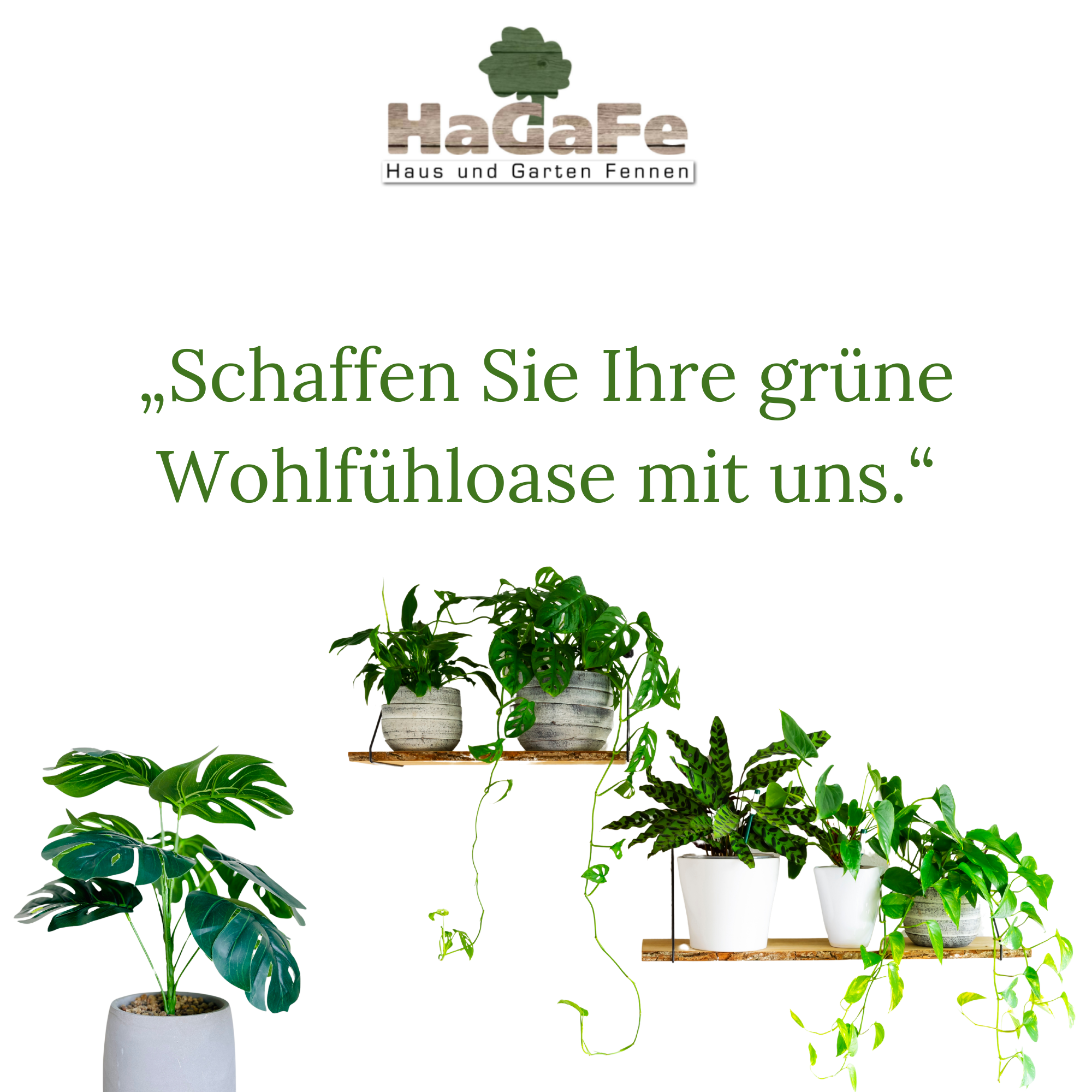 HaGaFe Terra Line BIO Zimmer- und Balkonpflanzenerde 50 Liter