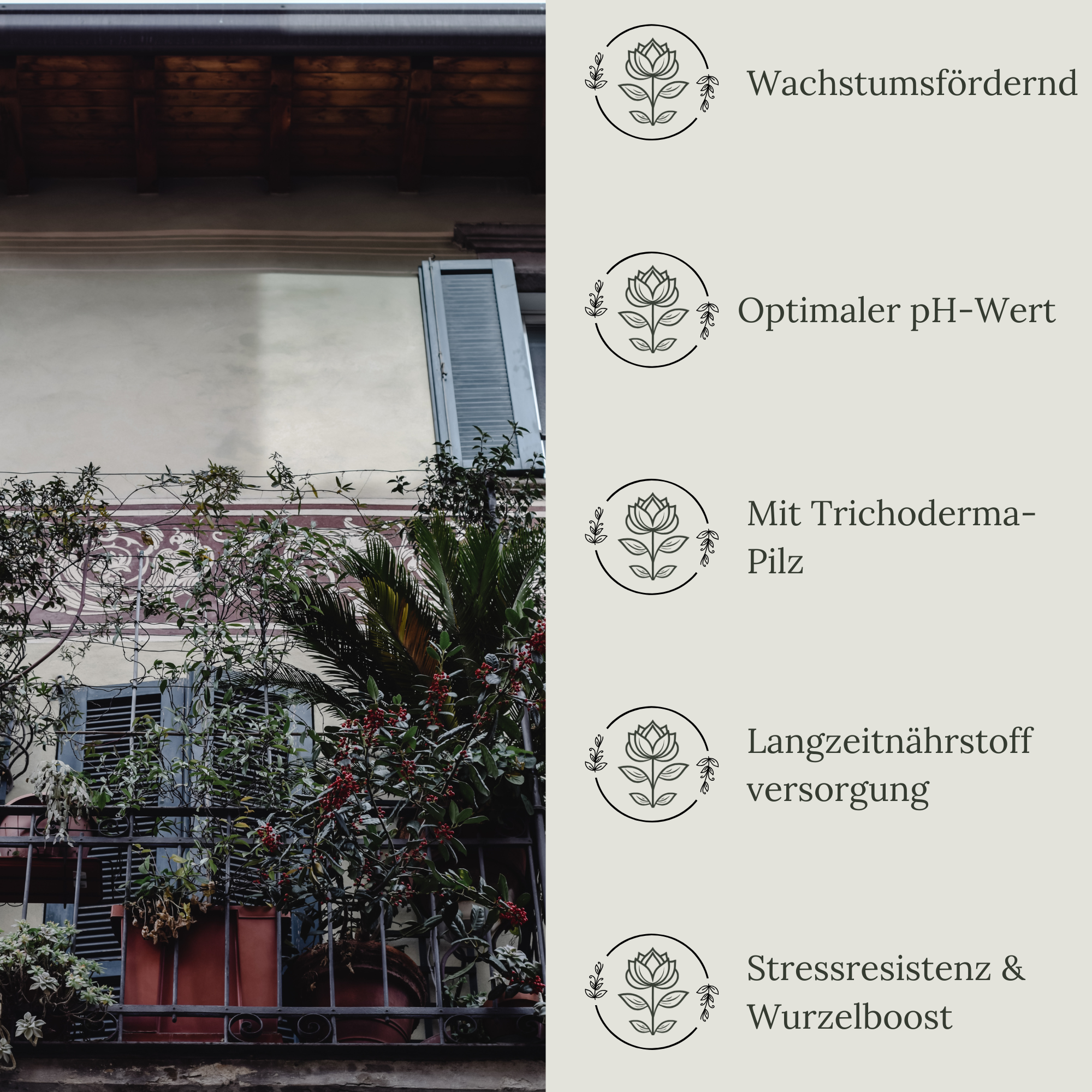 Floravera Premium BIO Zimmer- und Balkonpflanzenerde 50 Liter