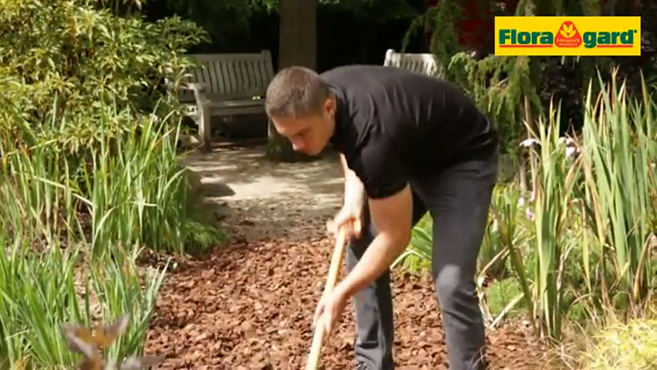 Floragard Pinien - Rinde, Pinienrinde, grob 25-40mm, Rindenmulch, Bodenabdeckung aus reiner mediterraner Pinie