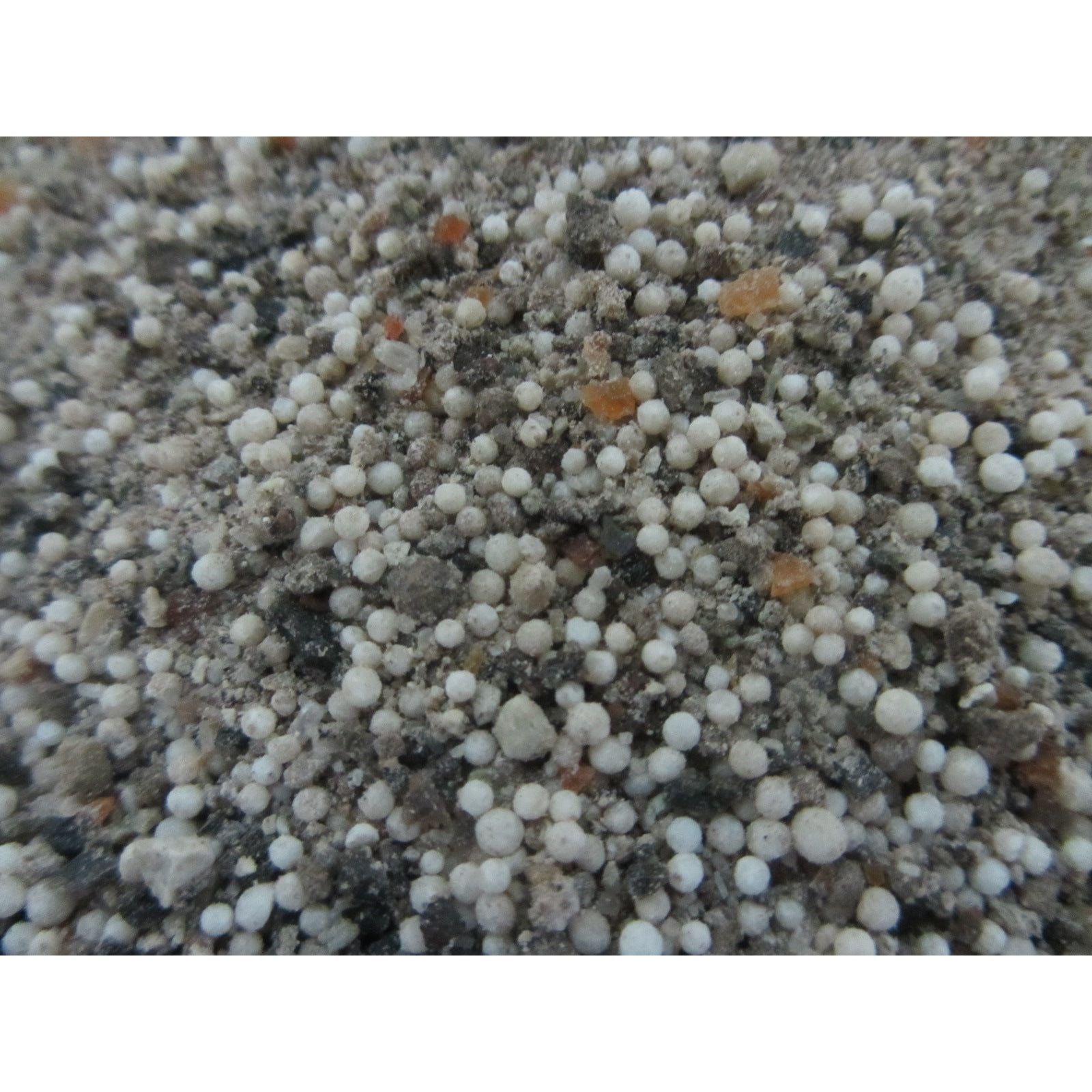 HaGaFe Bambusdünger, Ziergrasdünger, Spezialdünger, Dünger mit Silizium und Magnesium