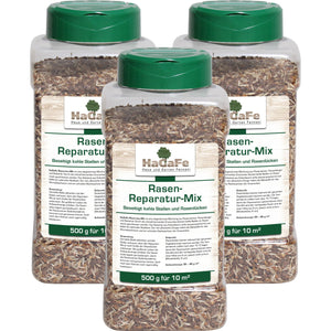 HaGaFe Rasen - Reparatur - Mix