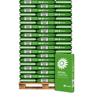 Plantaflor Spezial Substrat Zitruserde Mediterranpflanzenerde