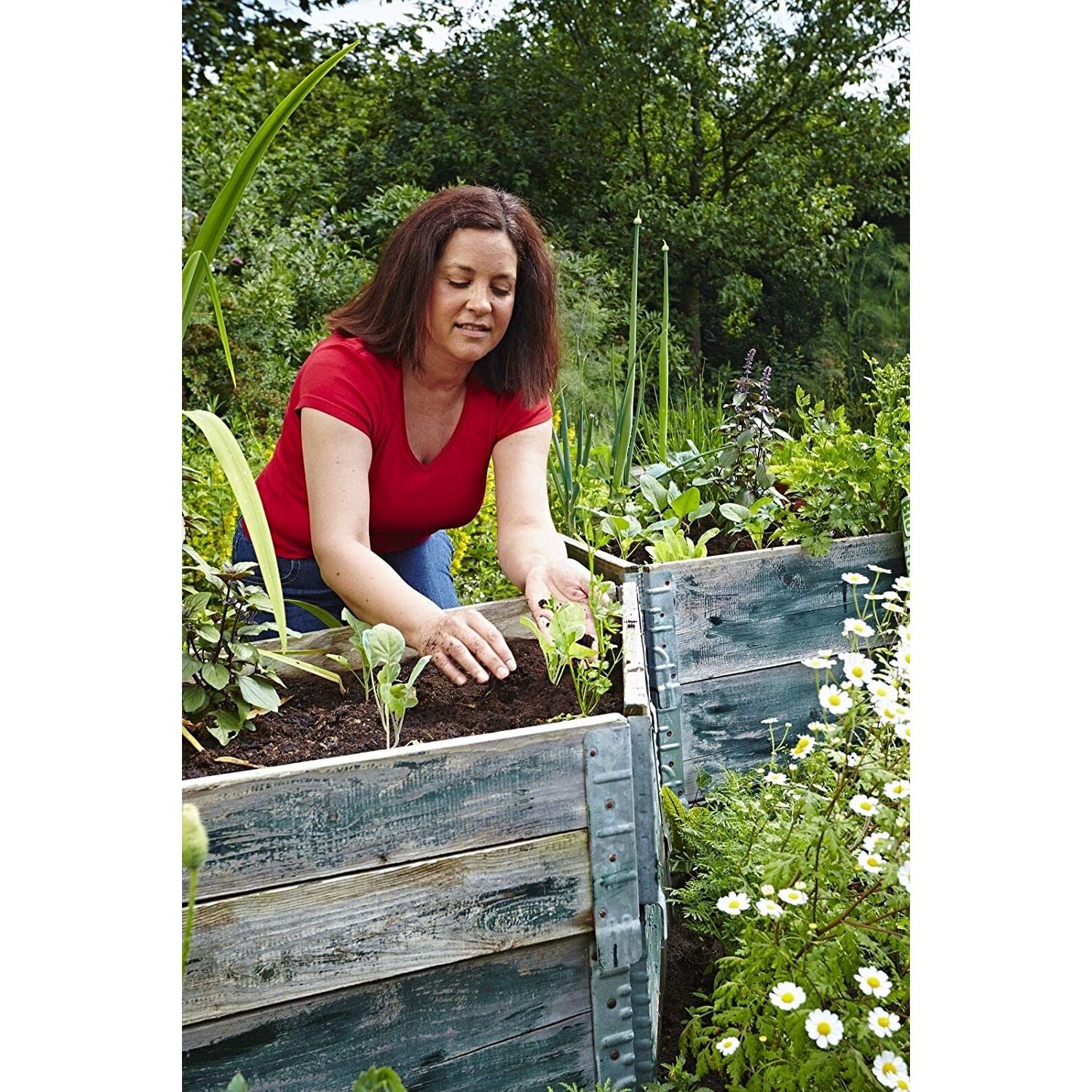 Plantaflor Plus Bio Hochbeeterde, Gemüseerde, torfreduziert, Tomatenerde, Gurkenerde, Paprikaerde