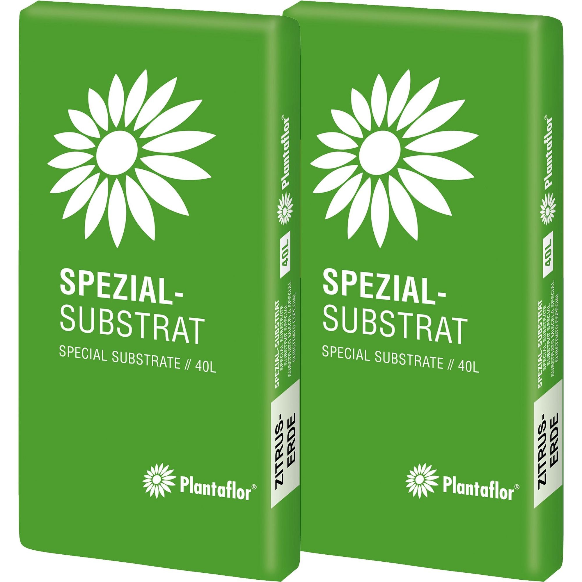 Plantaflor Spezial Substrat Zitruserde Mediterranpflanzenerde
