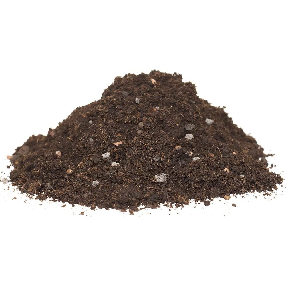 Floragard Zitruserde, Mediterranpflanzenerde 40L, Limettenerde, Zitronenerde, Orangenerde