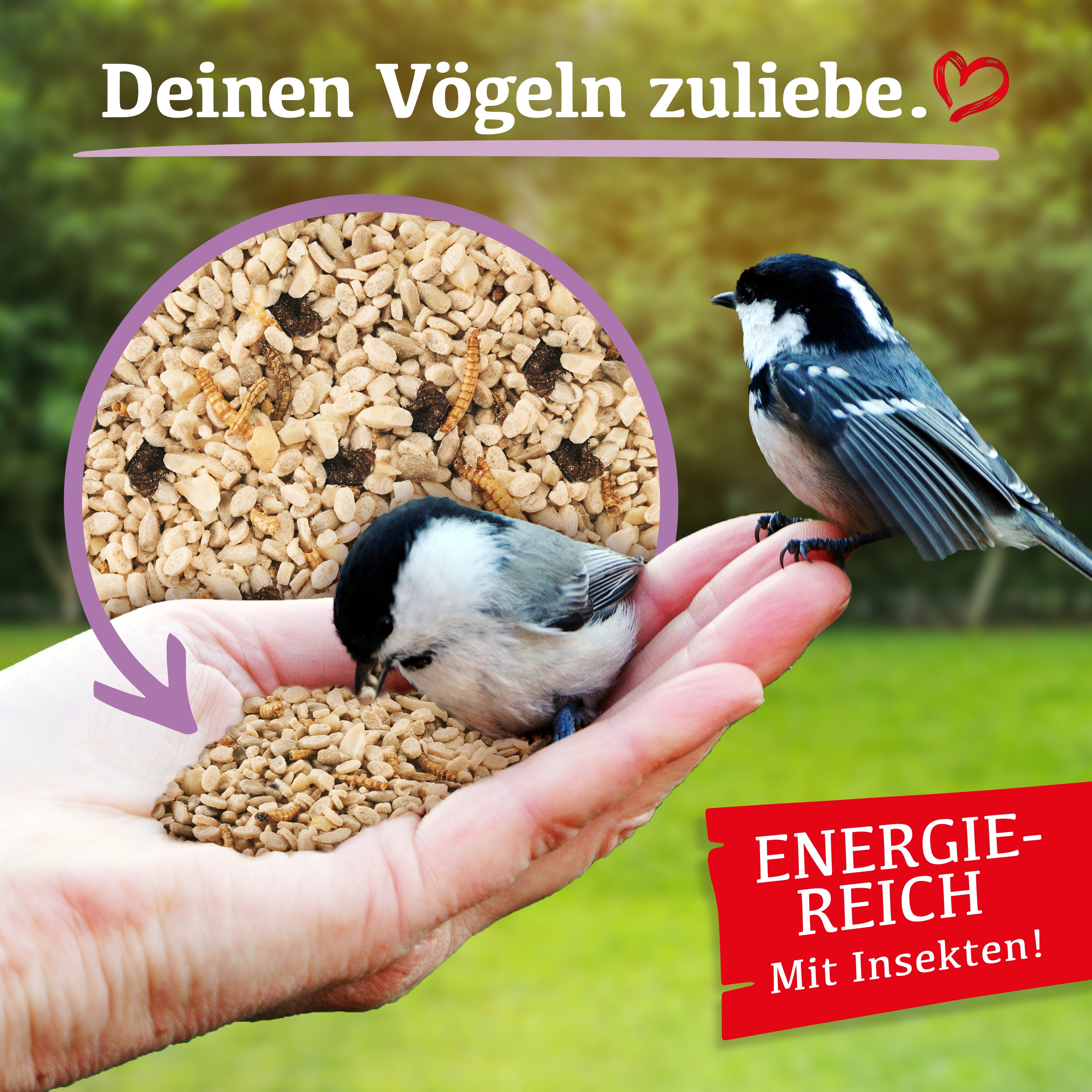 Delicia Aufbau Futter Mix, Vogelfutter, Streufutter, mit Mehlwürmern, Erdnüssen und Sonnenblumenkernen, Ambrosia gereinigt, Schalenfrei