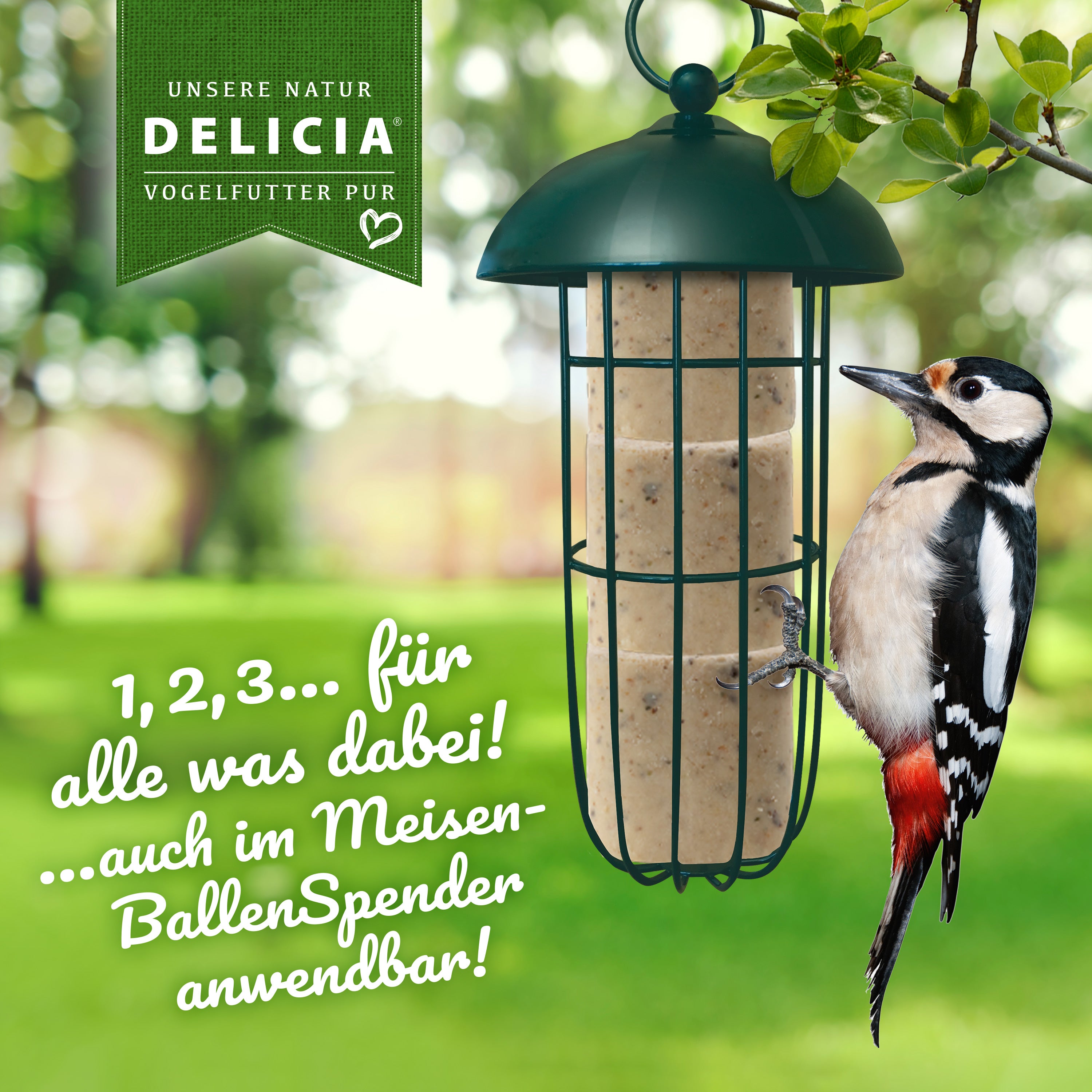 Delicia Meisenballen 30 Stück ohne Netz plus 1 Meisenballenspender