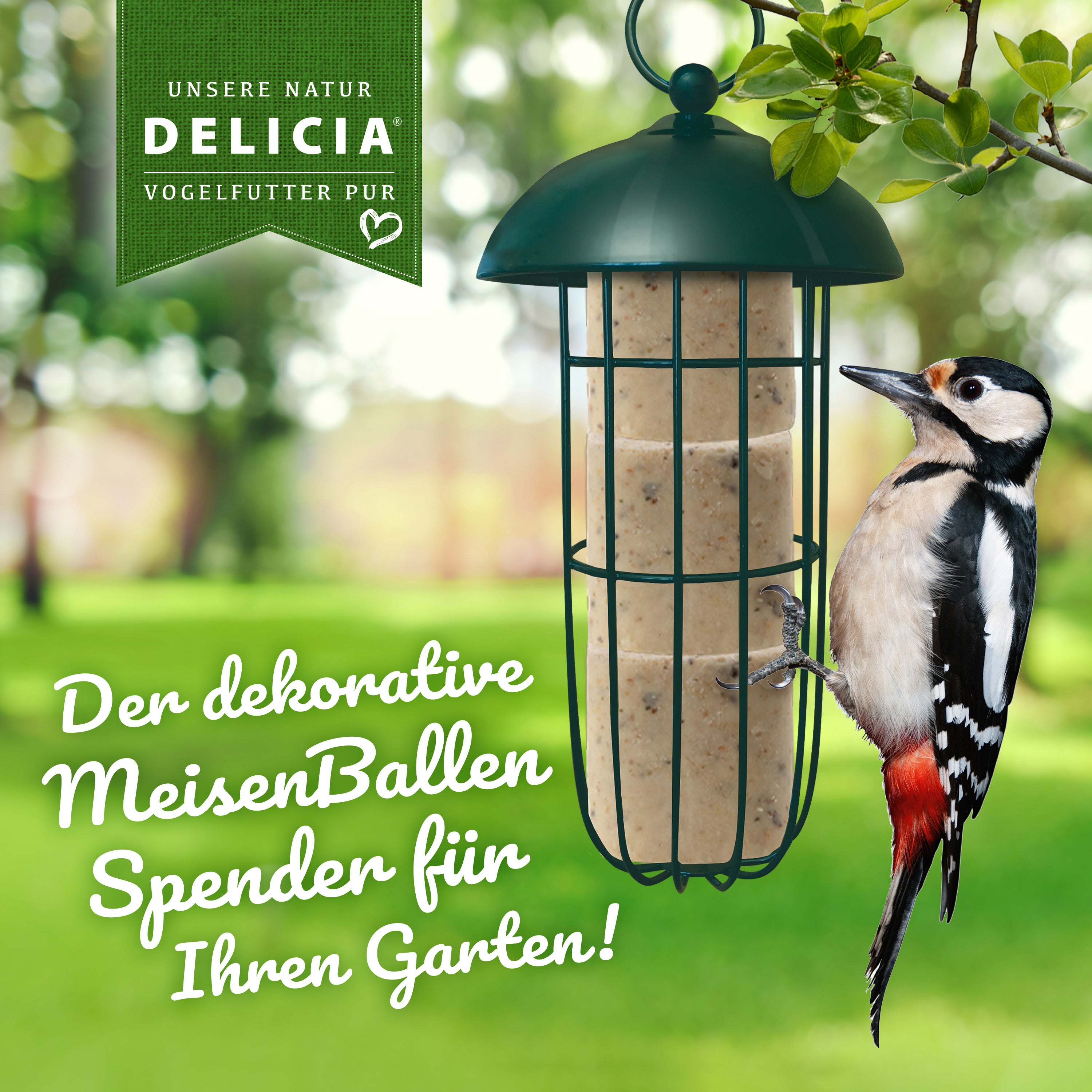 Delicia Meisenballen 30 Stück ohne Netz plus 1 Meisenballenspender